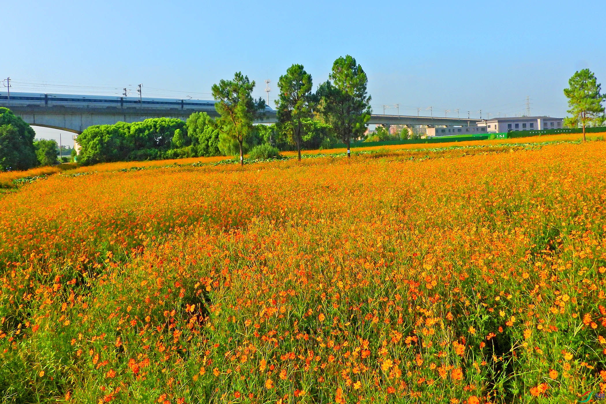 DSCN3611.JPG