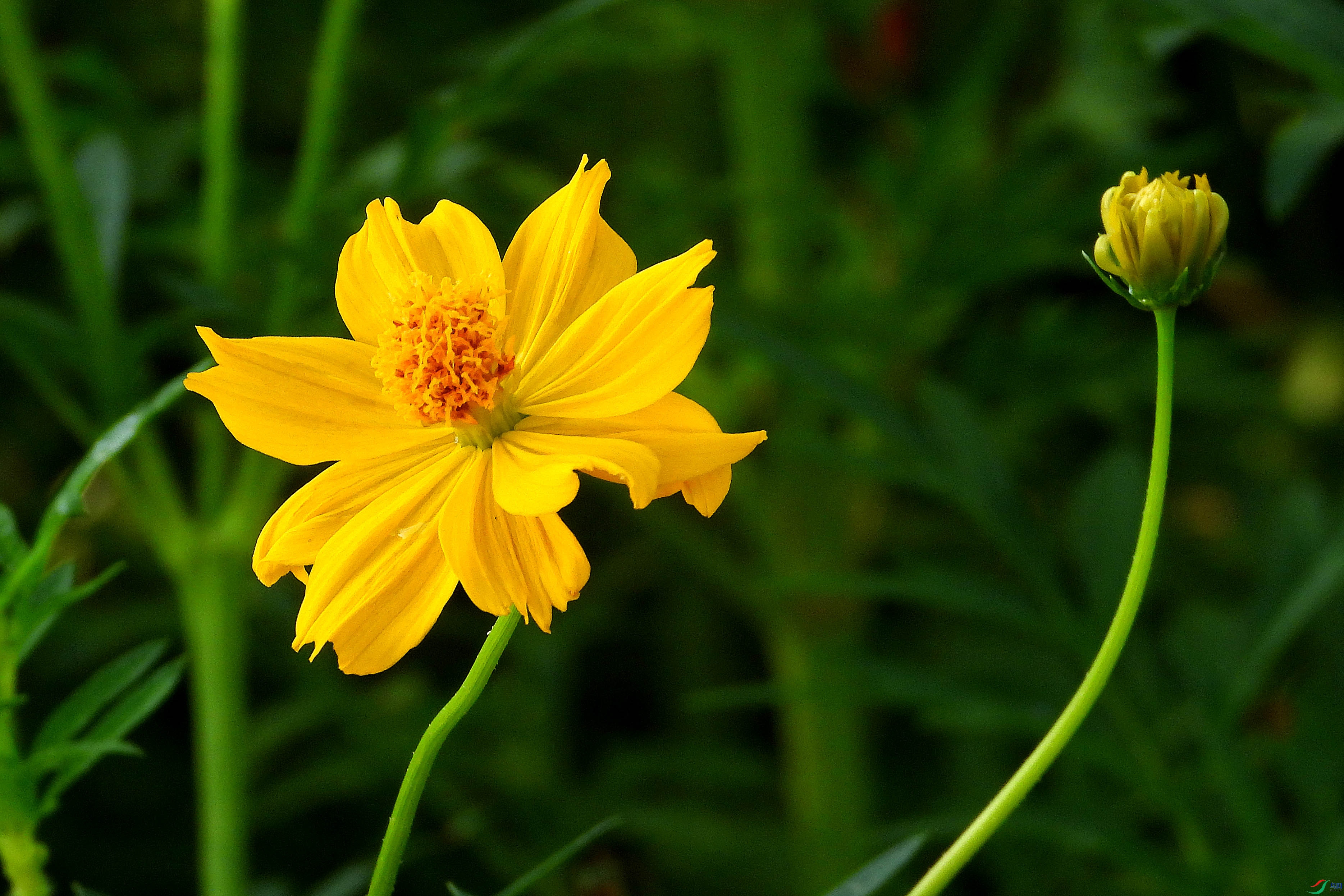 DSCN3651.JPG