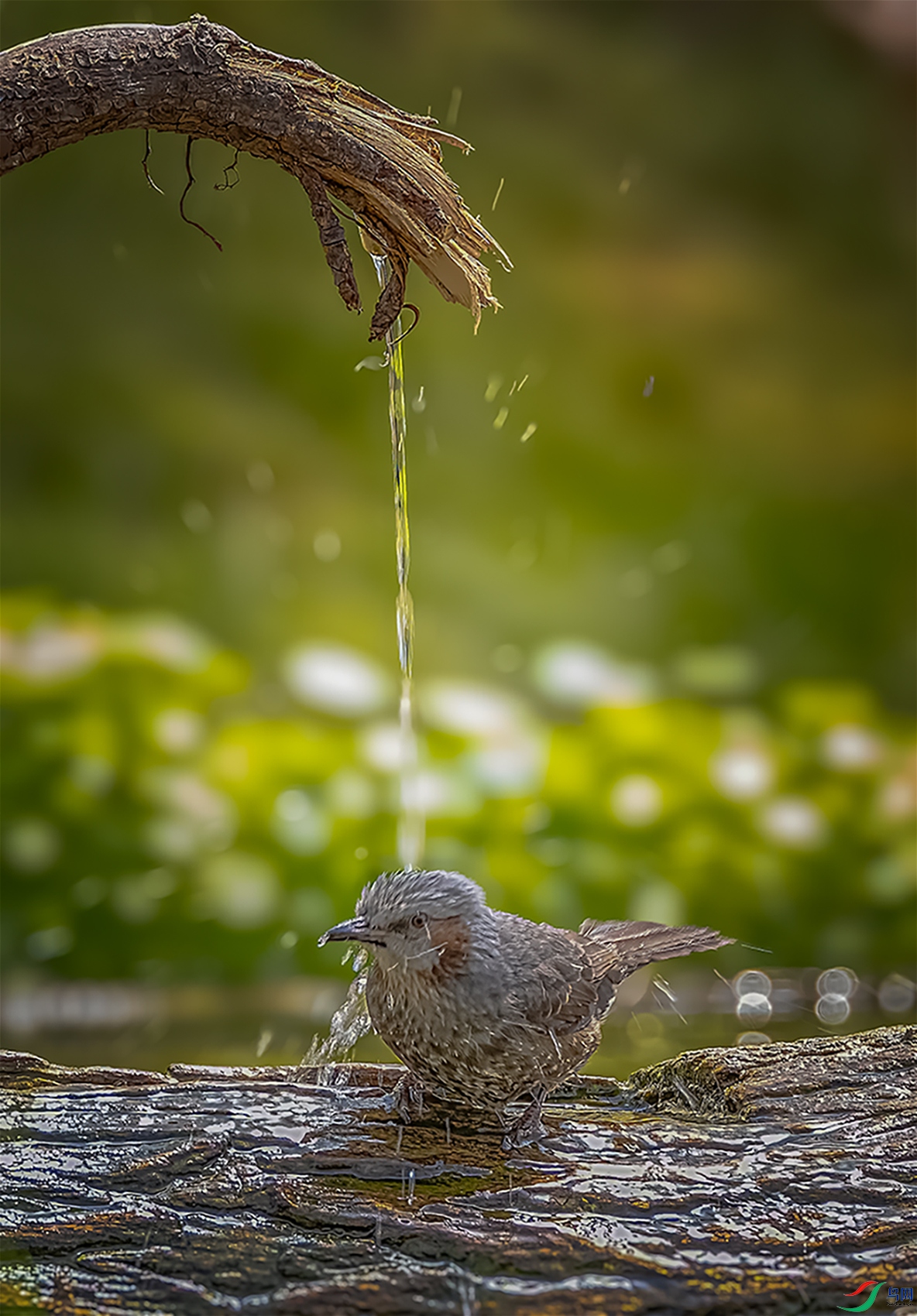 1J4A6465a.jpg