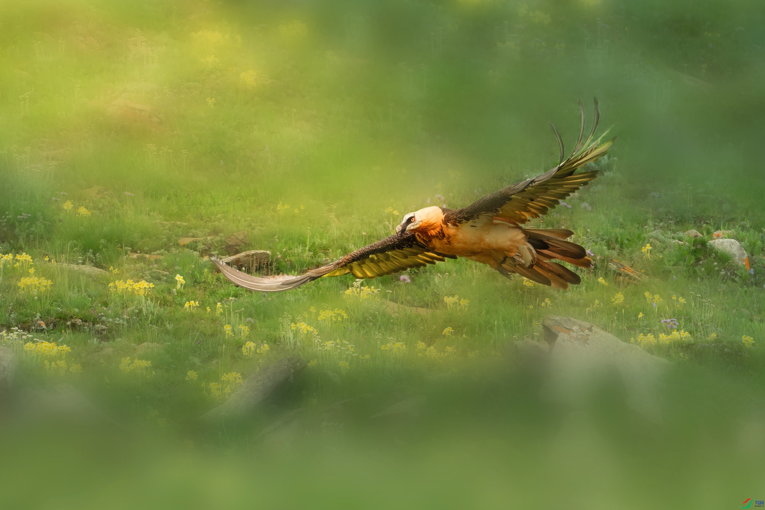 ���л��� -1����.jpg