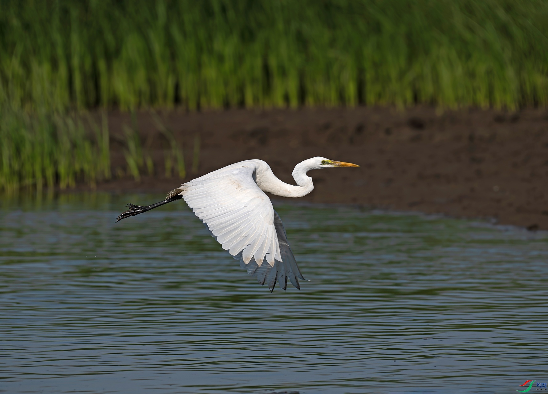 _DSC6946f.jpg