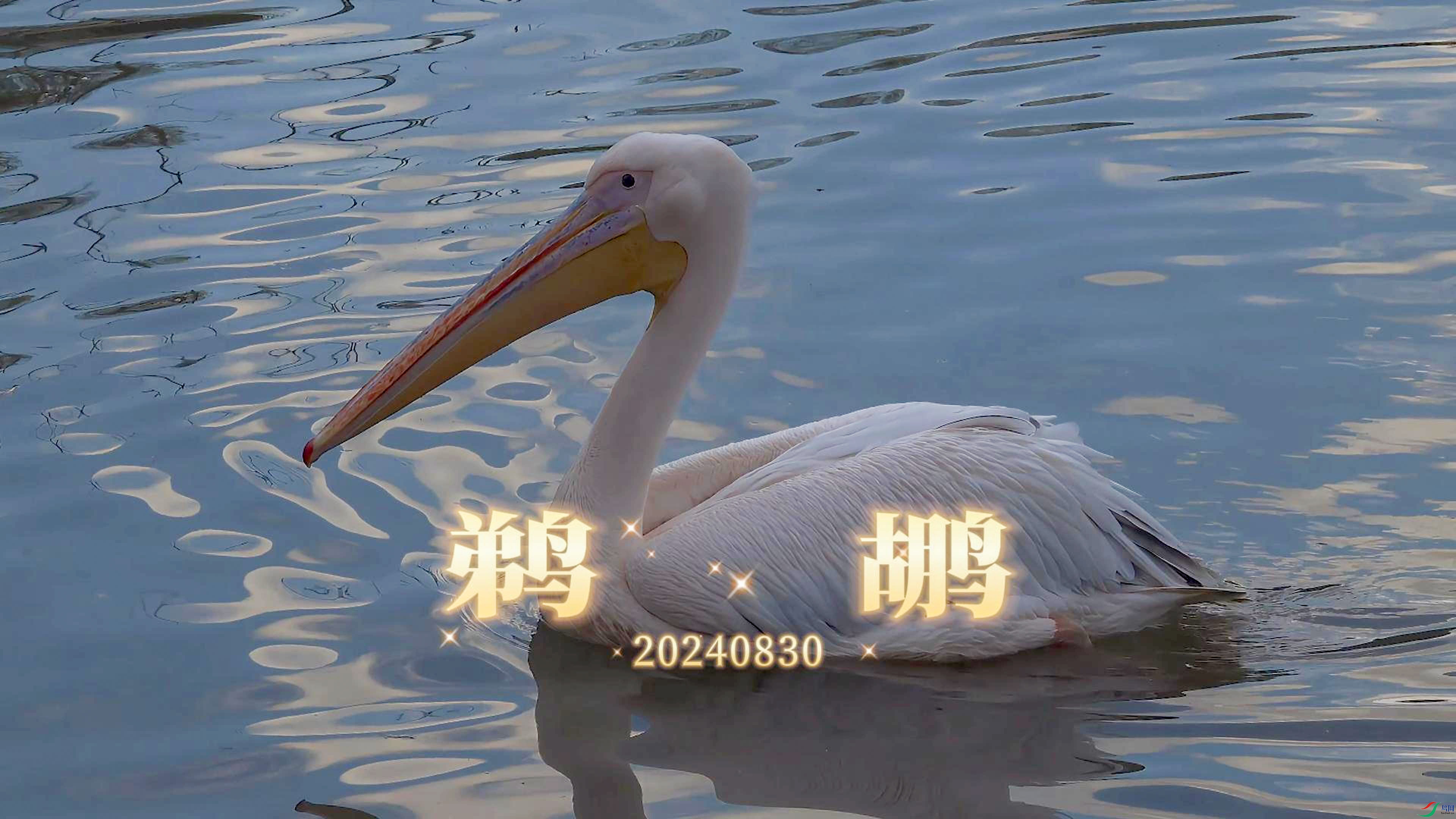 8��30�� (2)-����.jpg