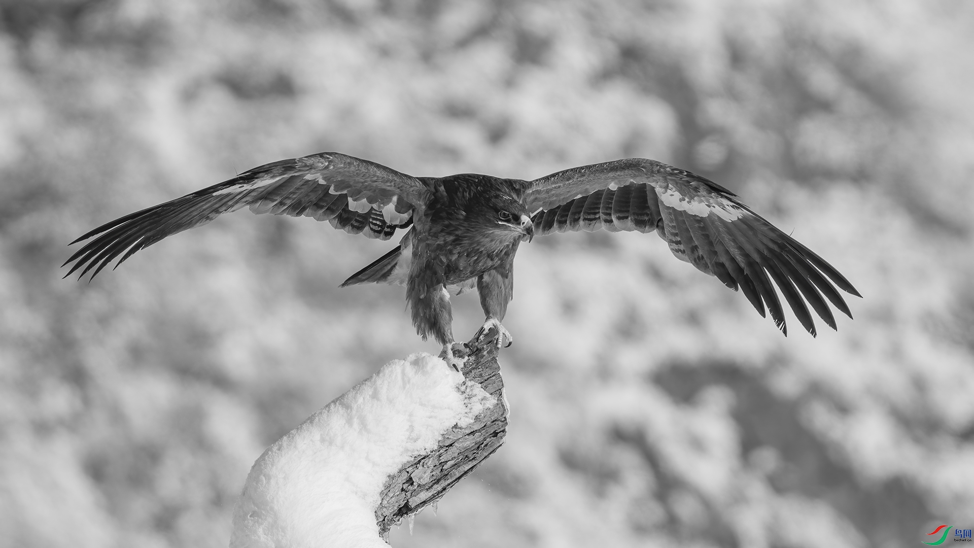 DSC05089 ����.jpg