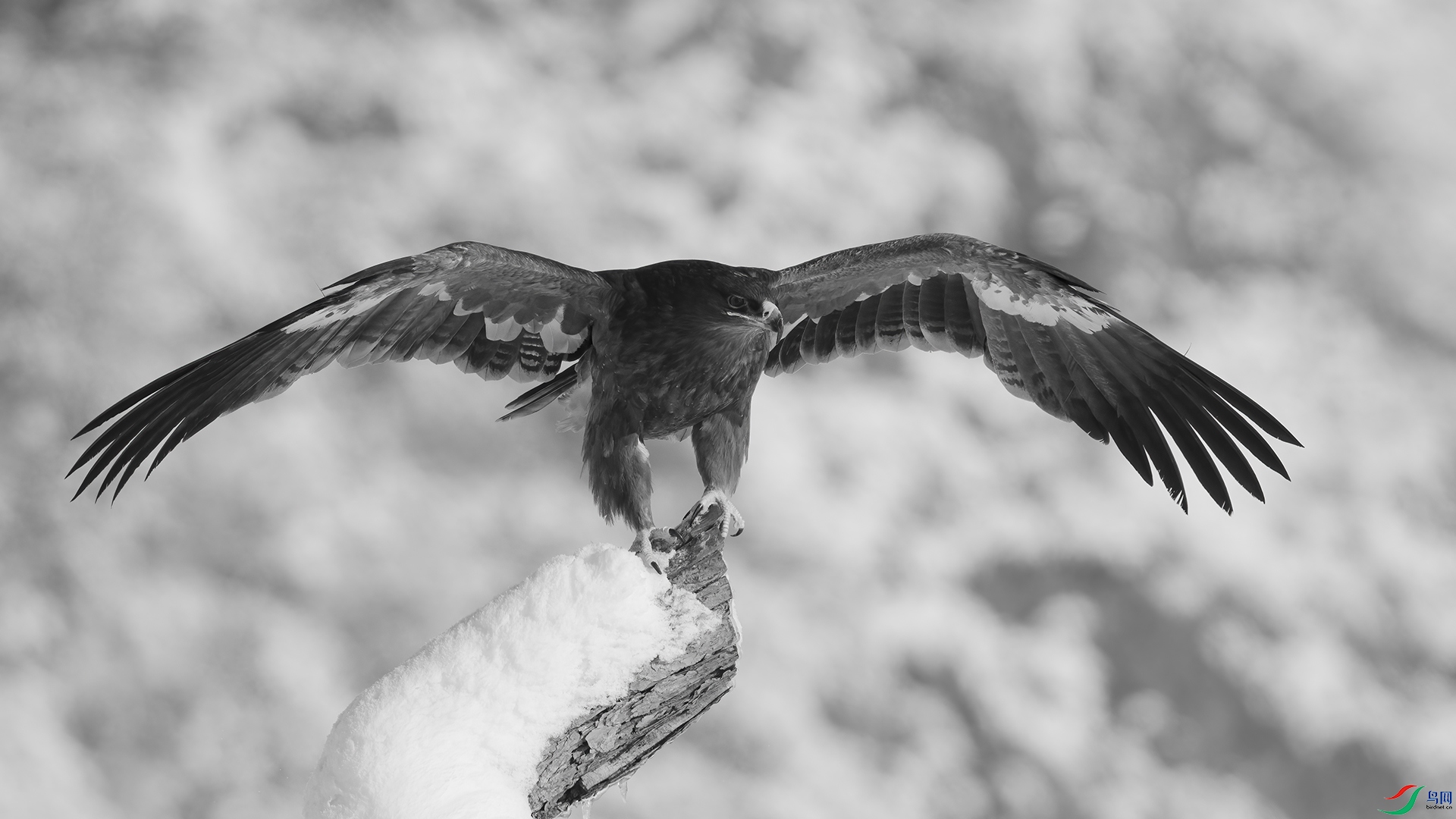 DSC05090 ����.jpg