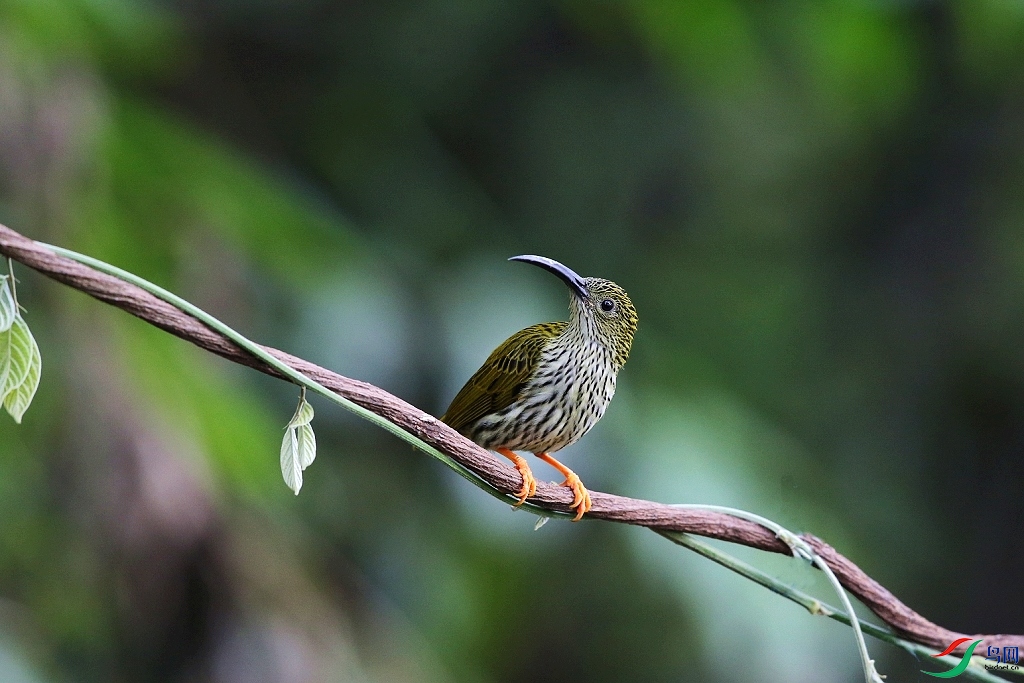 ���� IMGL0348.JPG