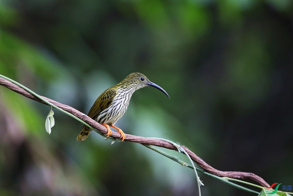 ���� IMGL0363.JPG