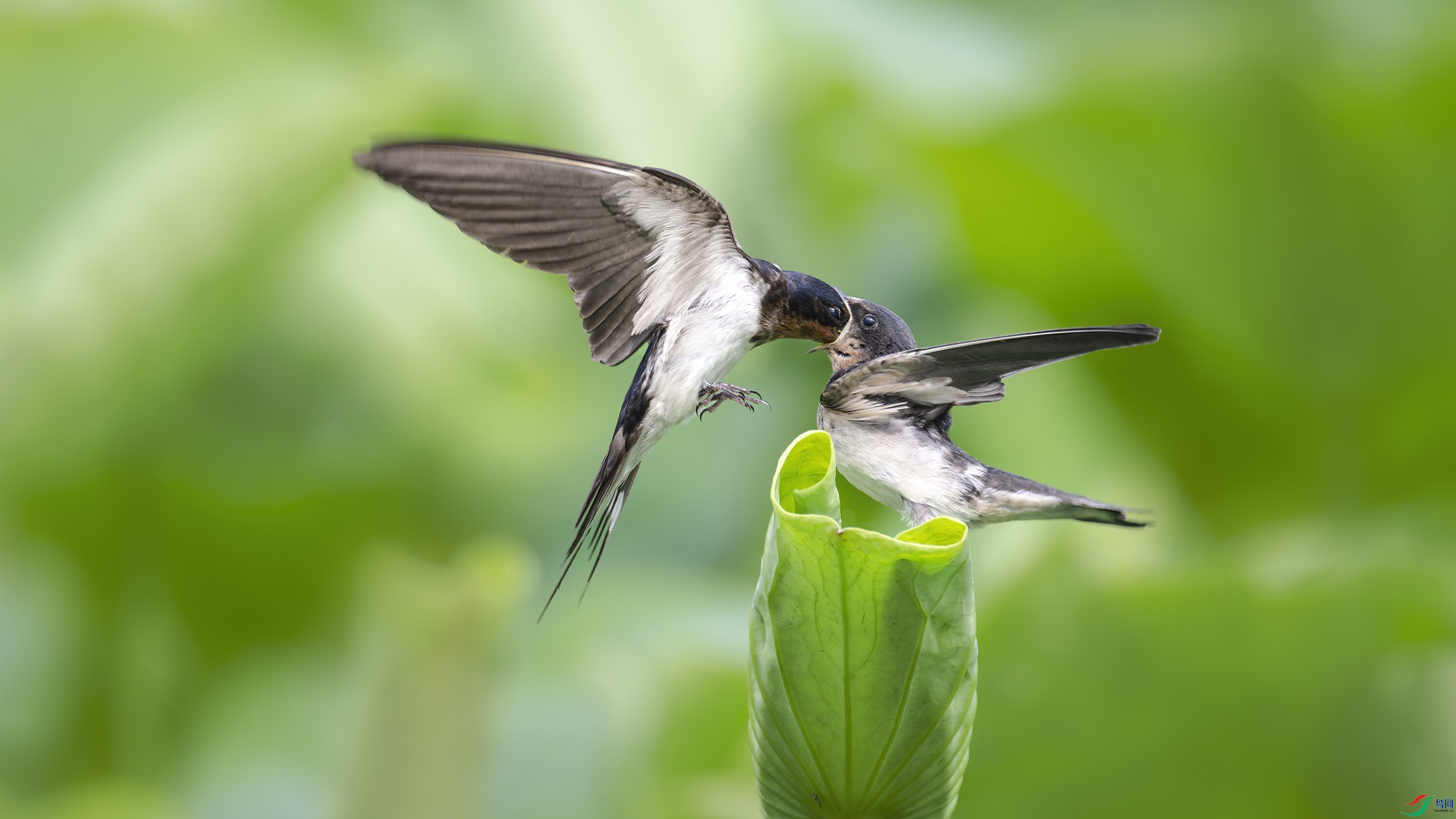 _DSC4465_DxO.jpg