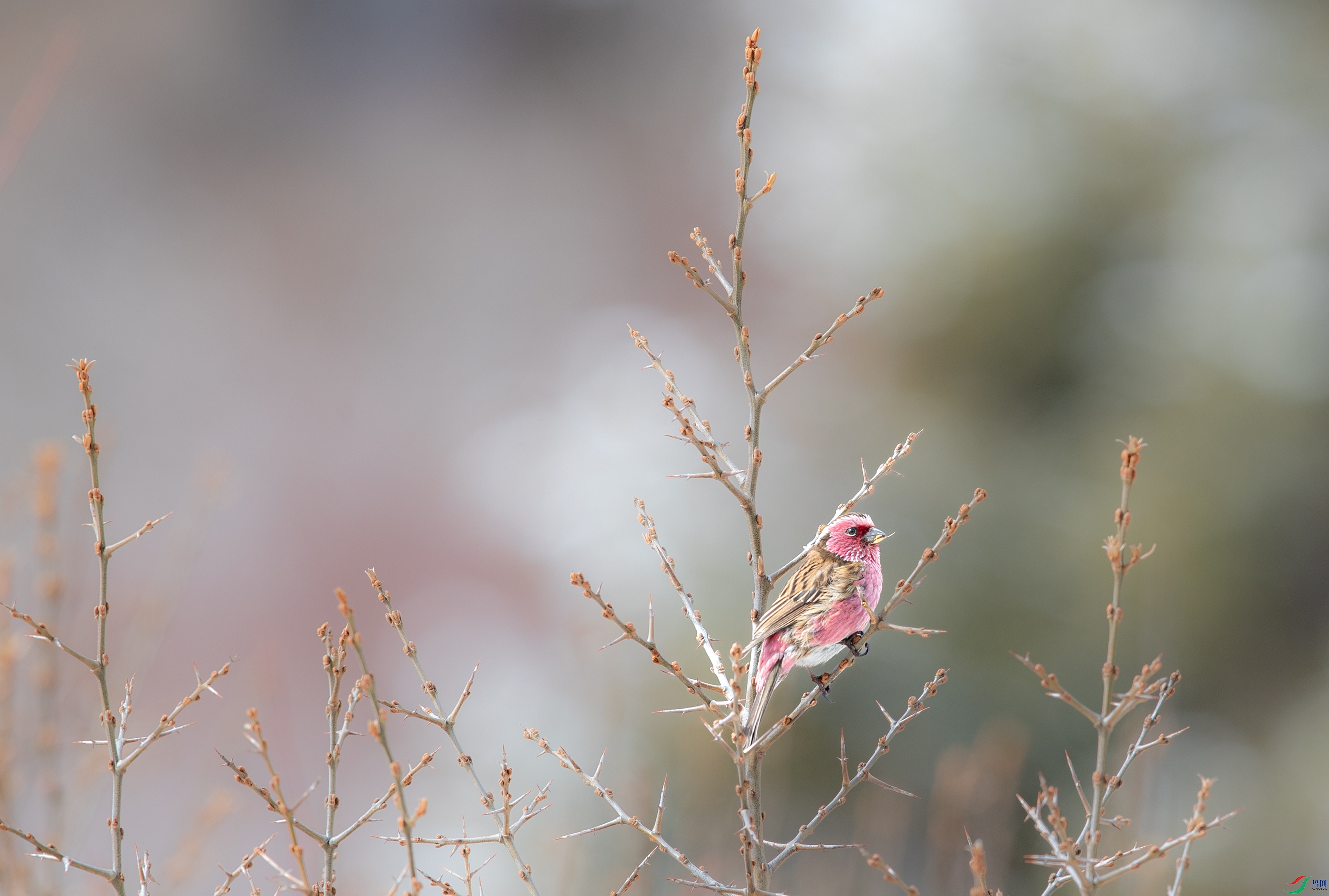 _Y8I7378 ����.jpg