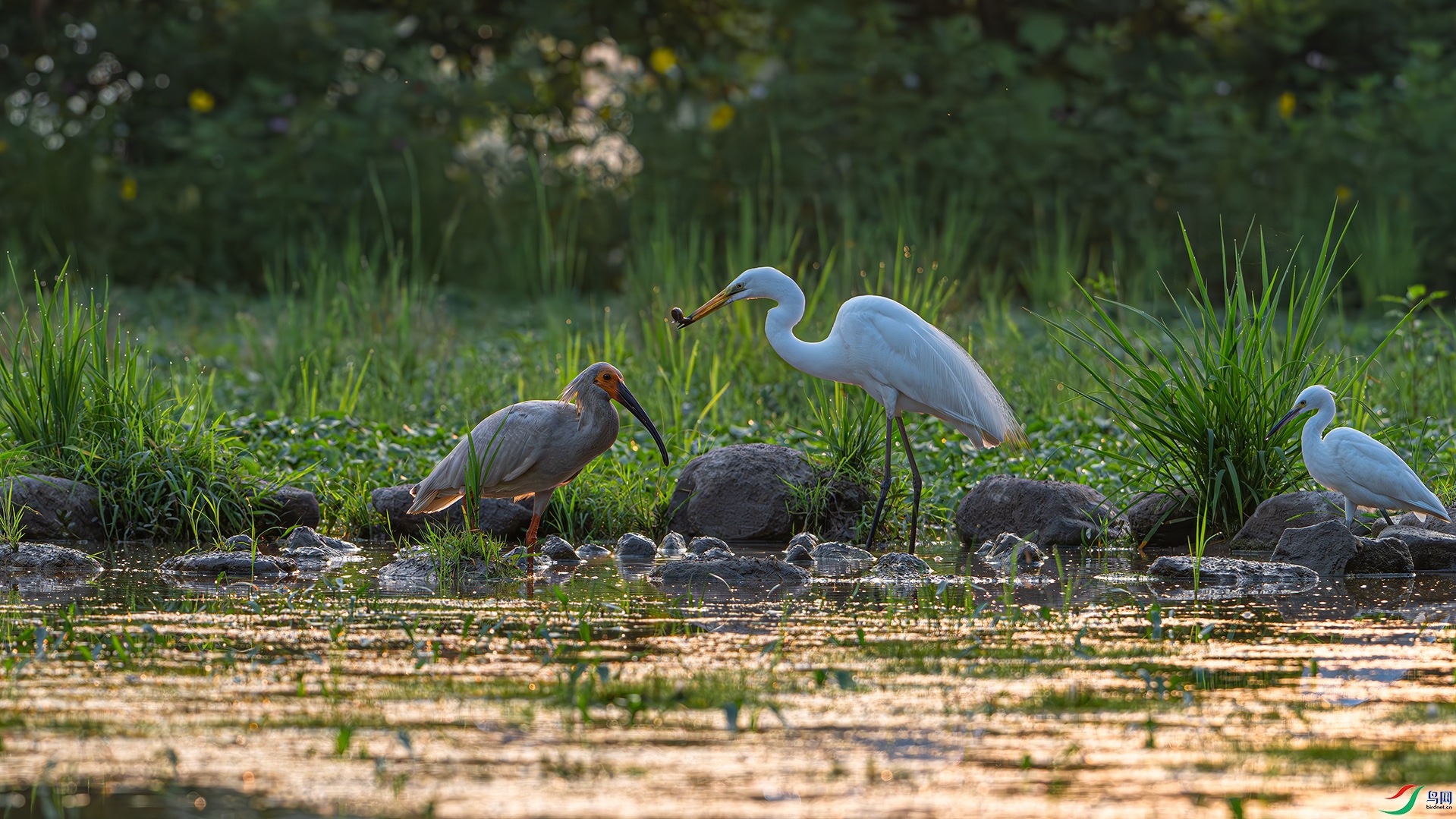 DSC_5406.jpg