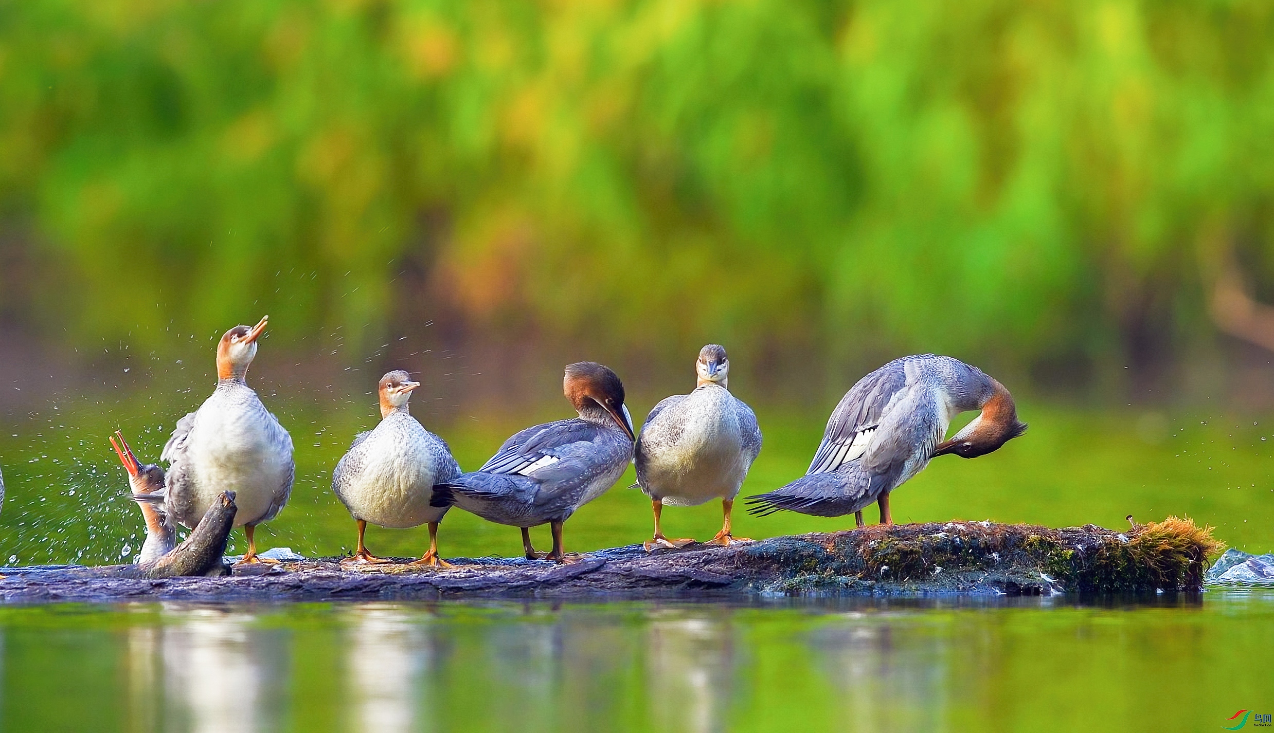 8��31�� (2)-����.jpg