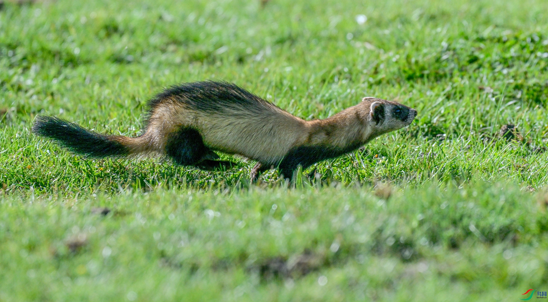 _DSC5408_����_.jpg