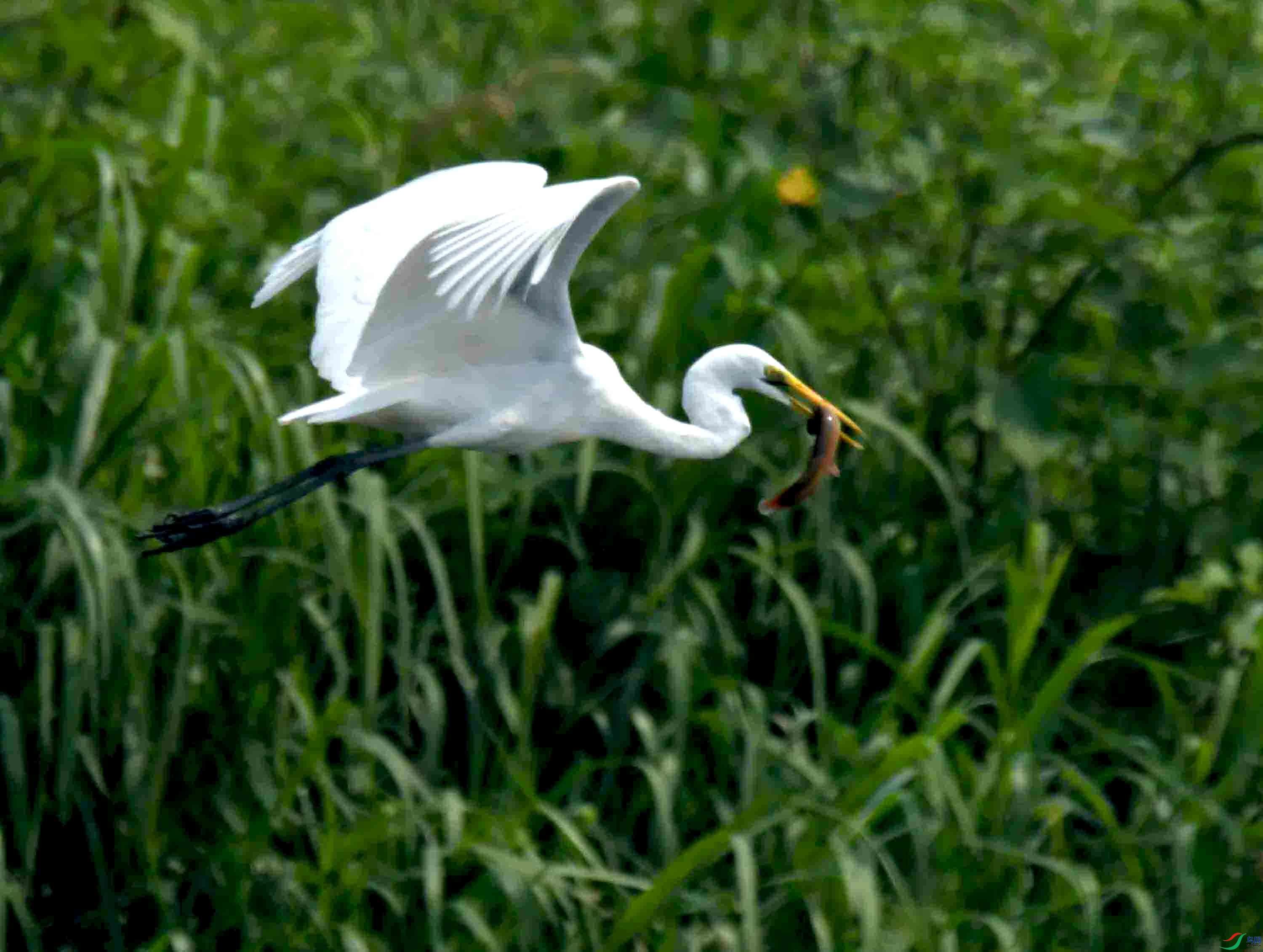 DSC_4033.JPG