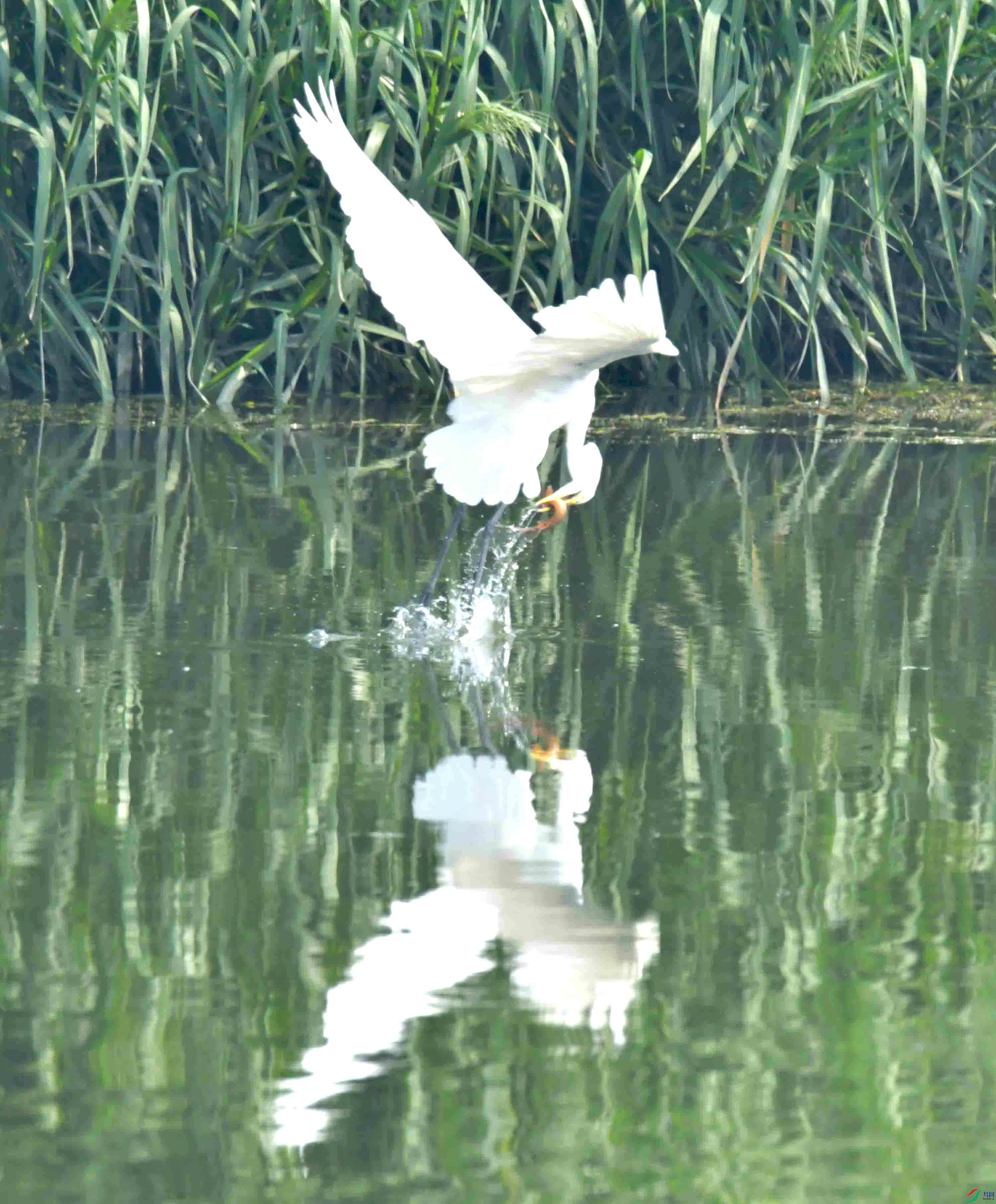 DSC_4028.JPG