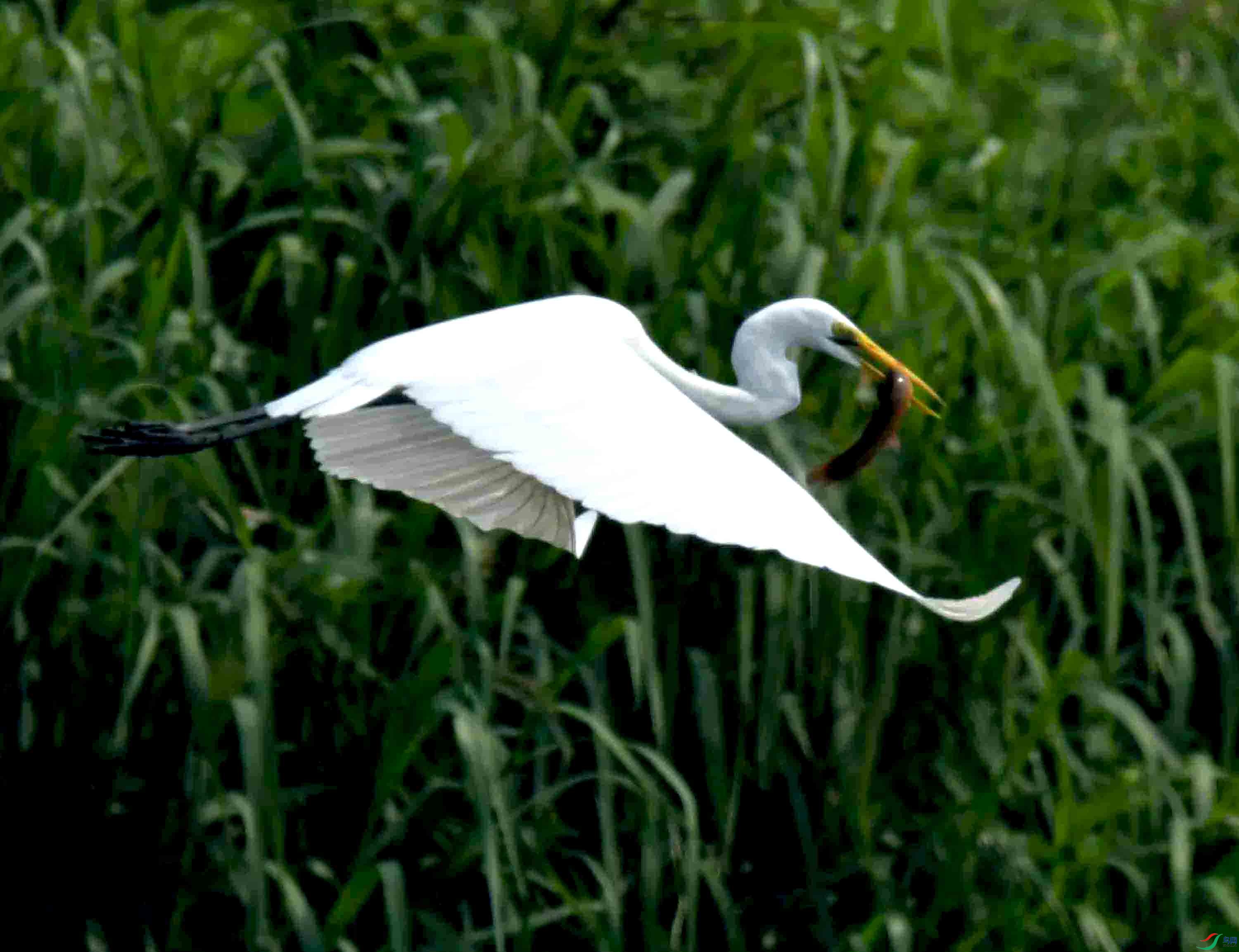 DSC_4032.JPG