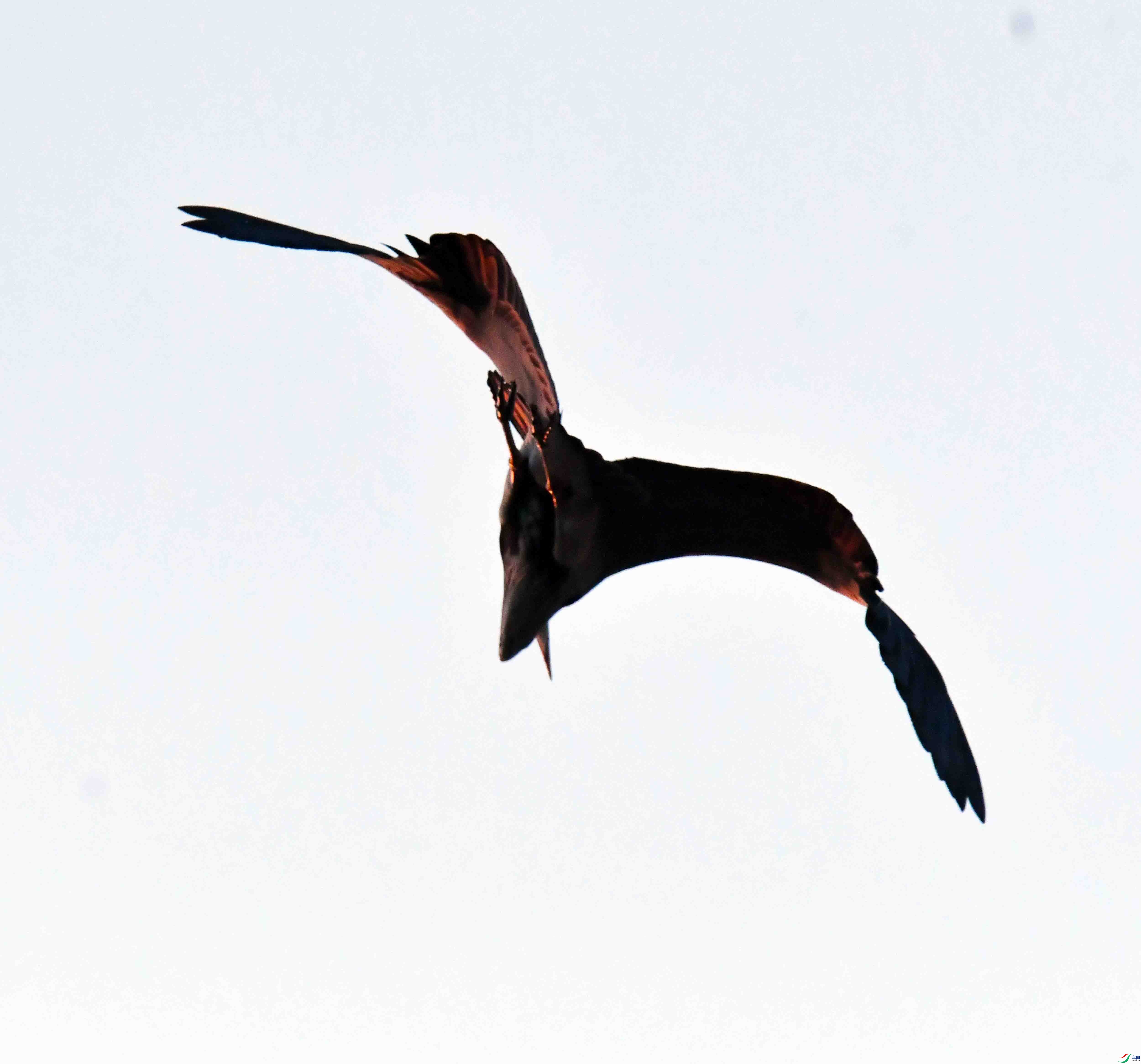 DSC_4142.JPG