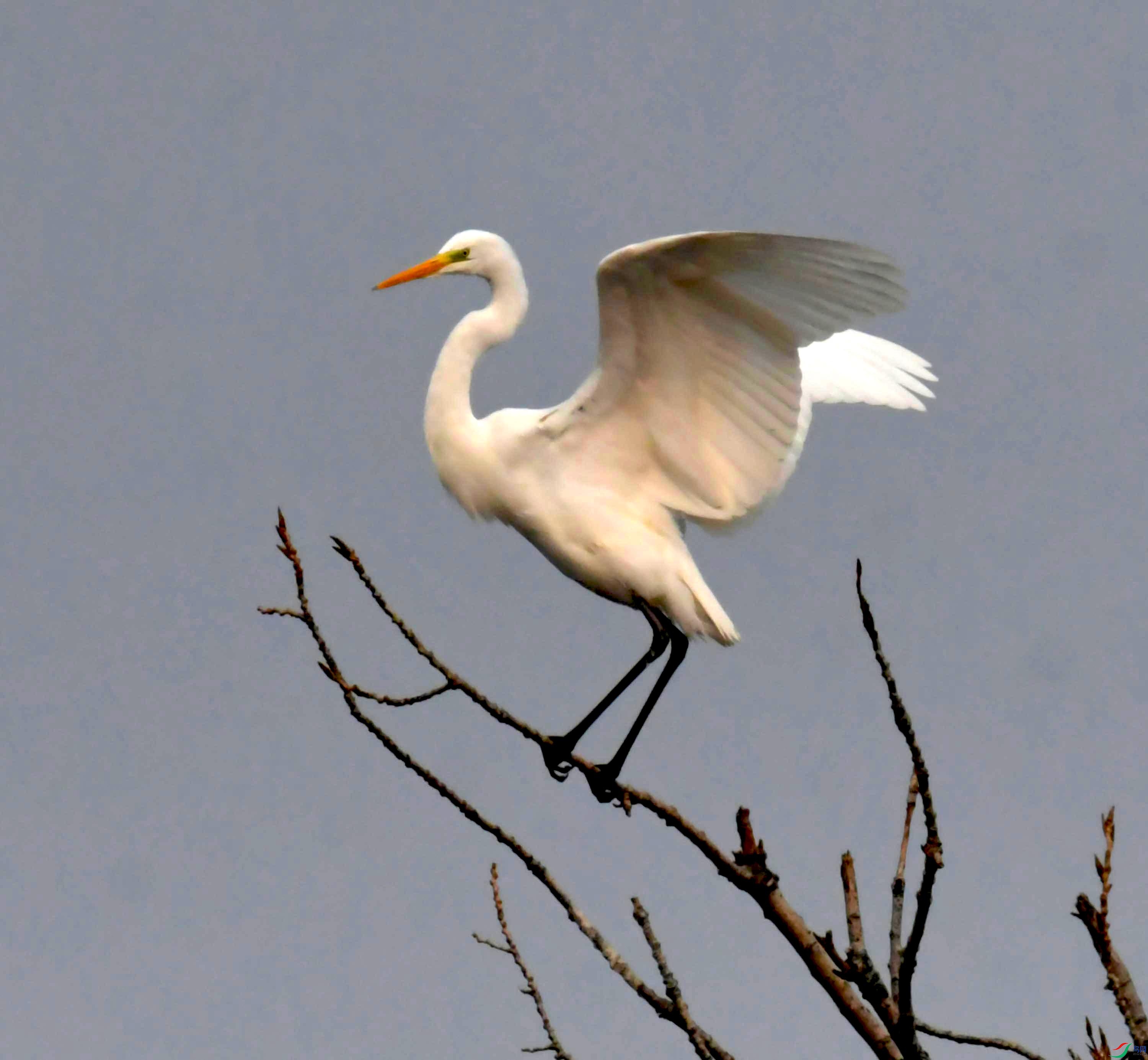 DSC_4205.JPG