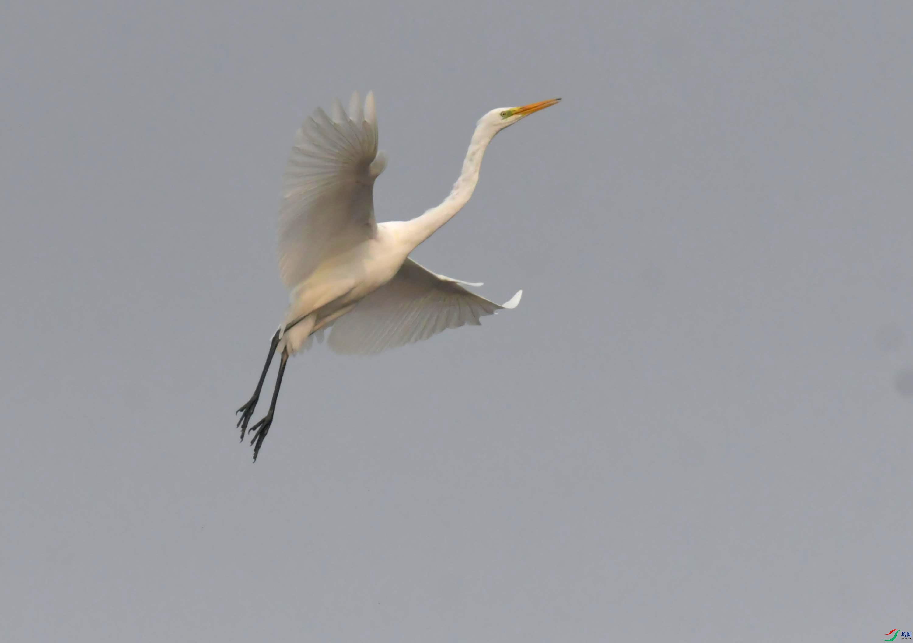 DSC_4263.JPG