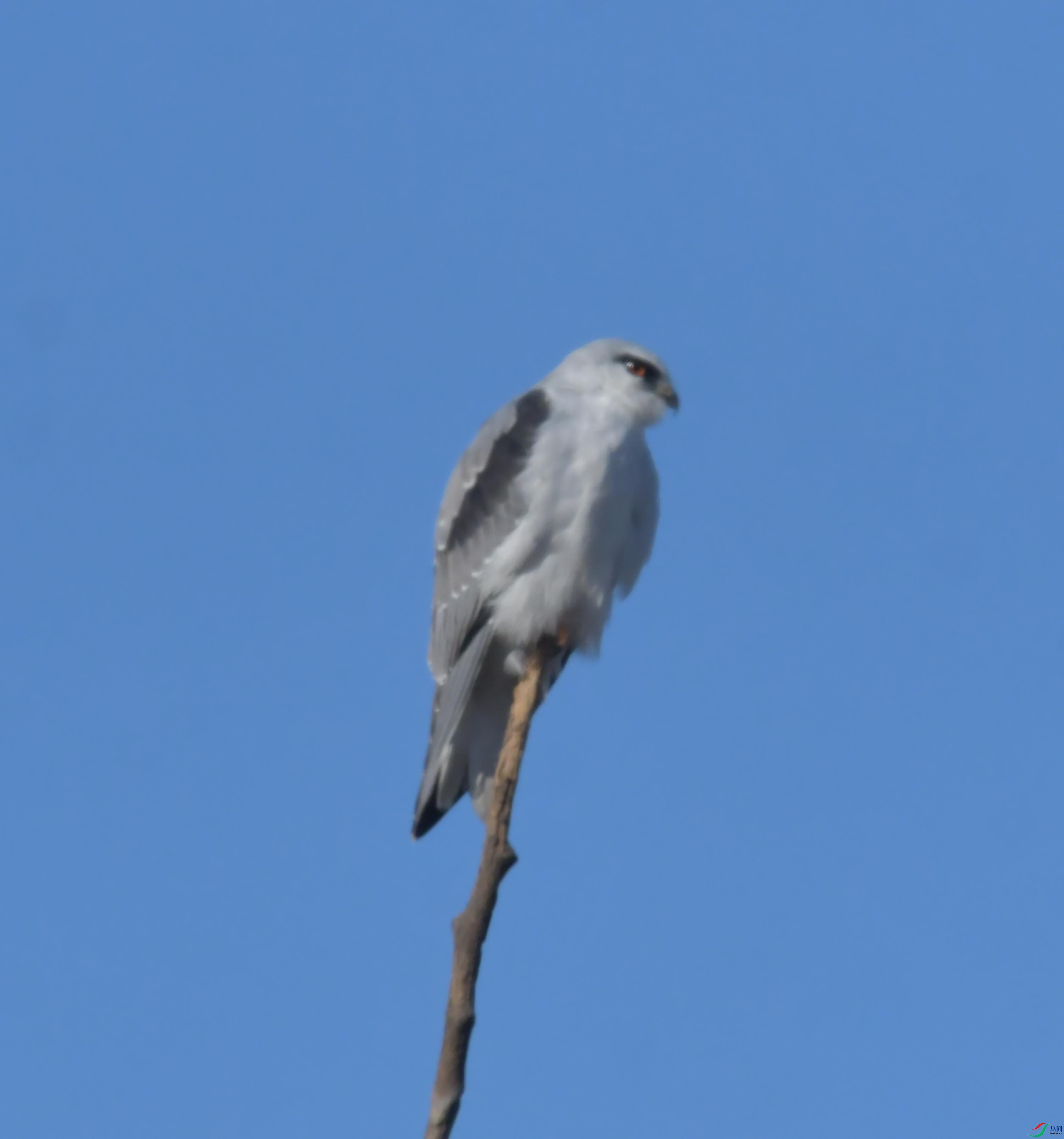 DSC_4374.JPG