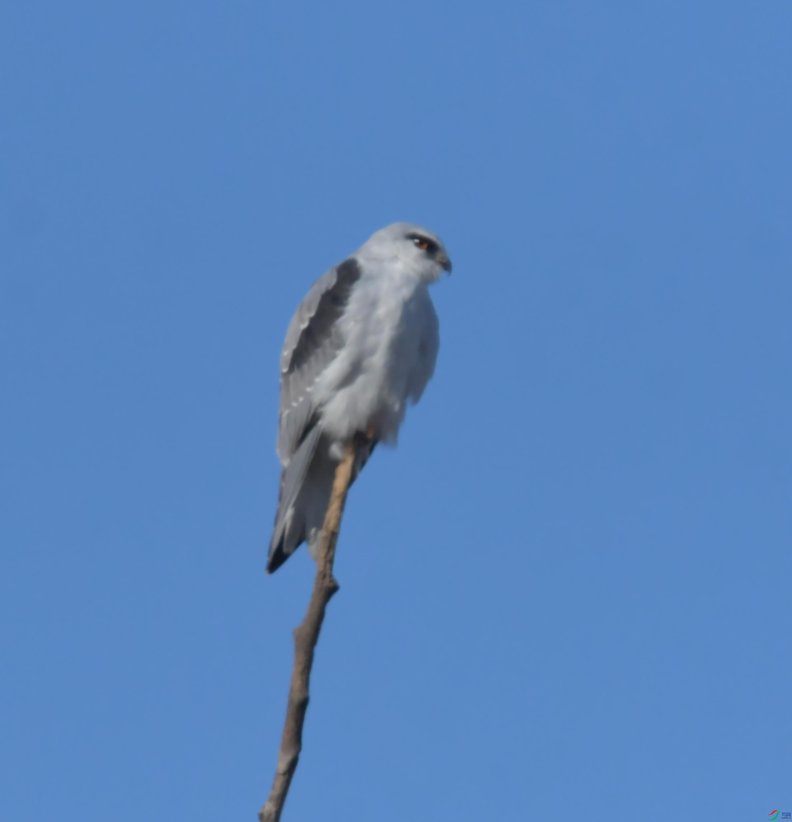 DSC_4373.JPG