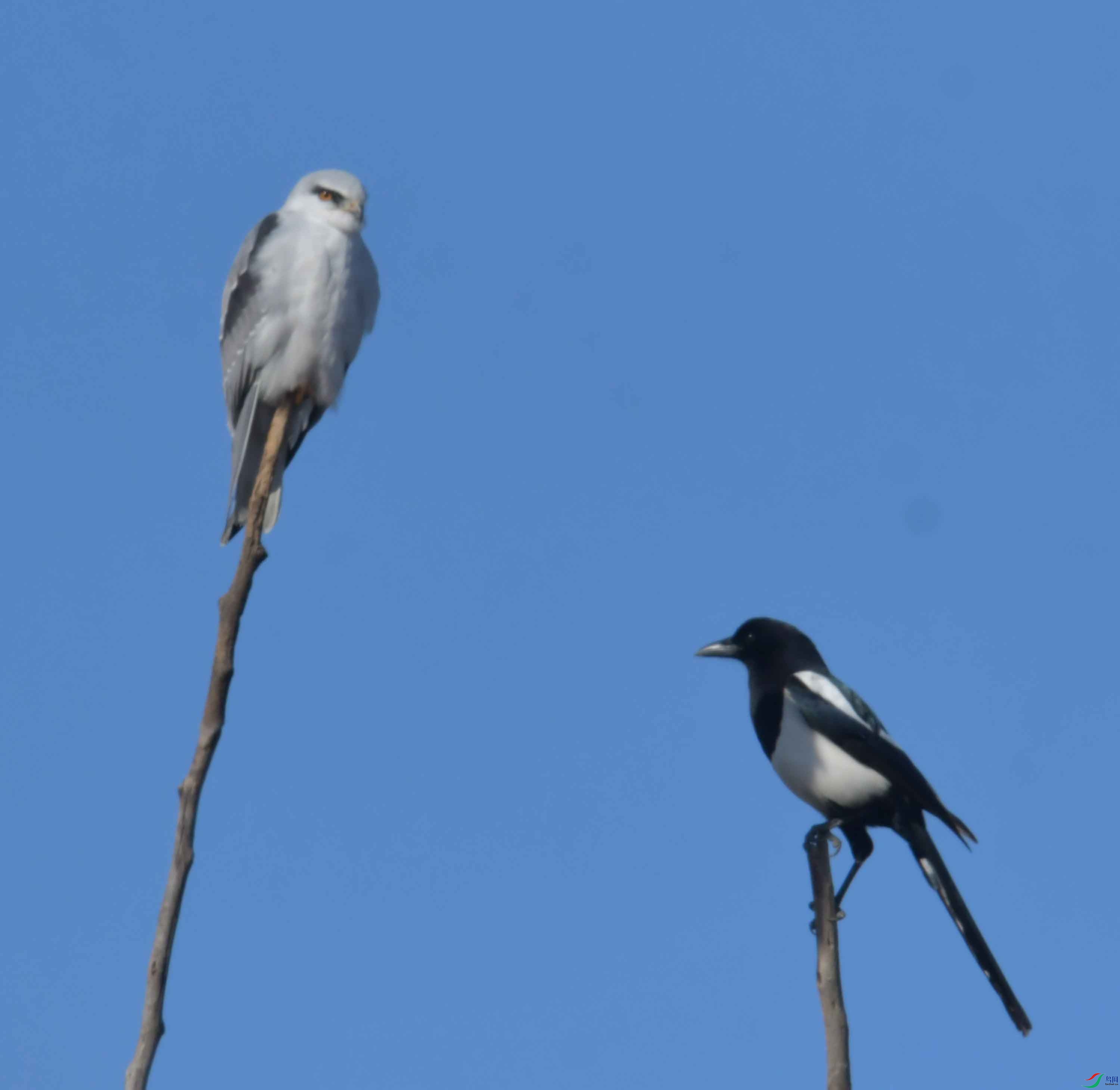 DSC_4324.JPG