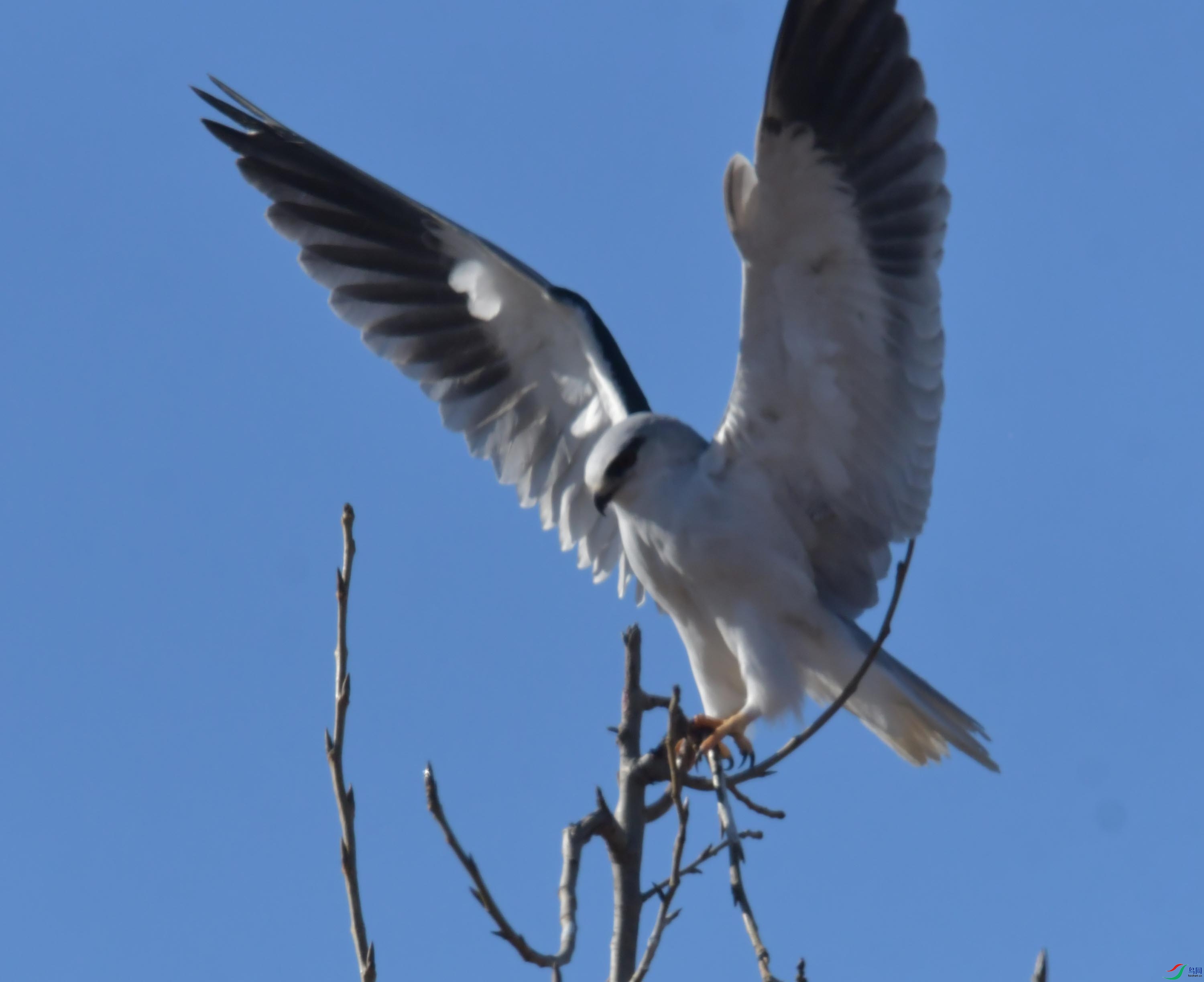DSC_4420.JPG