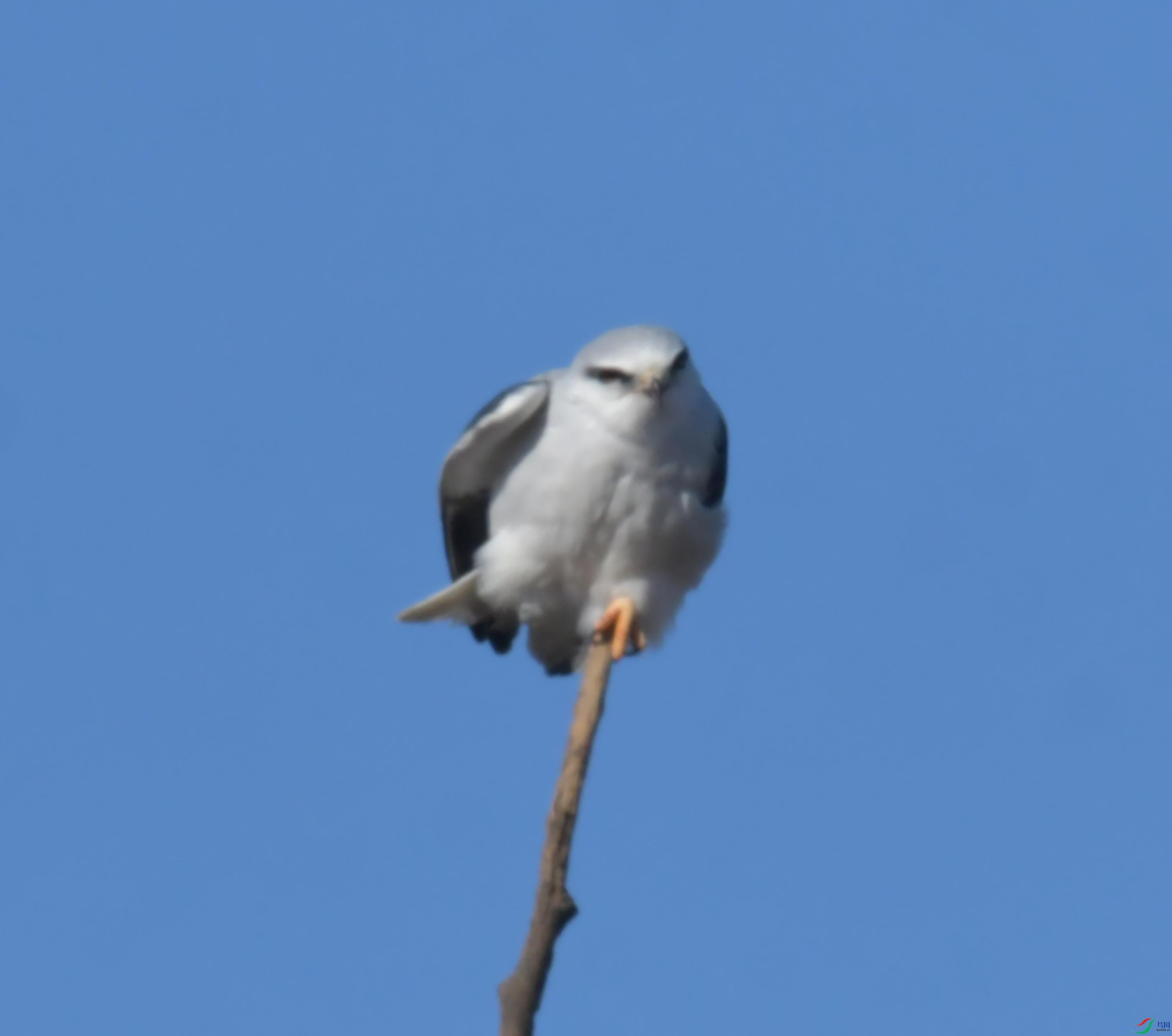 DSC_4406.JPG