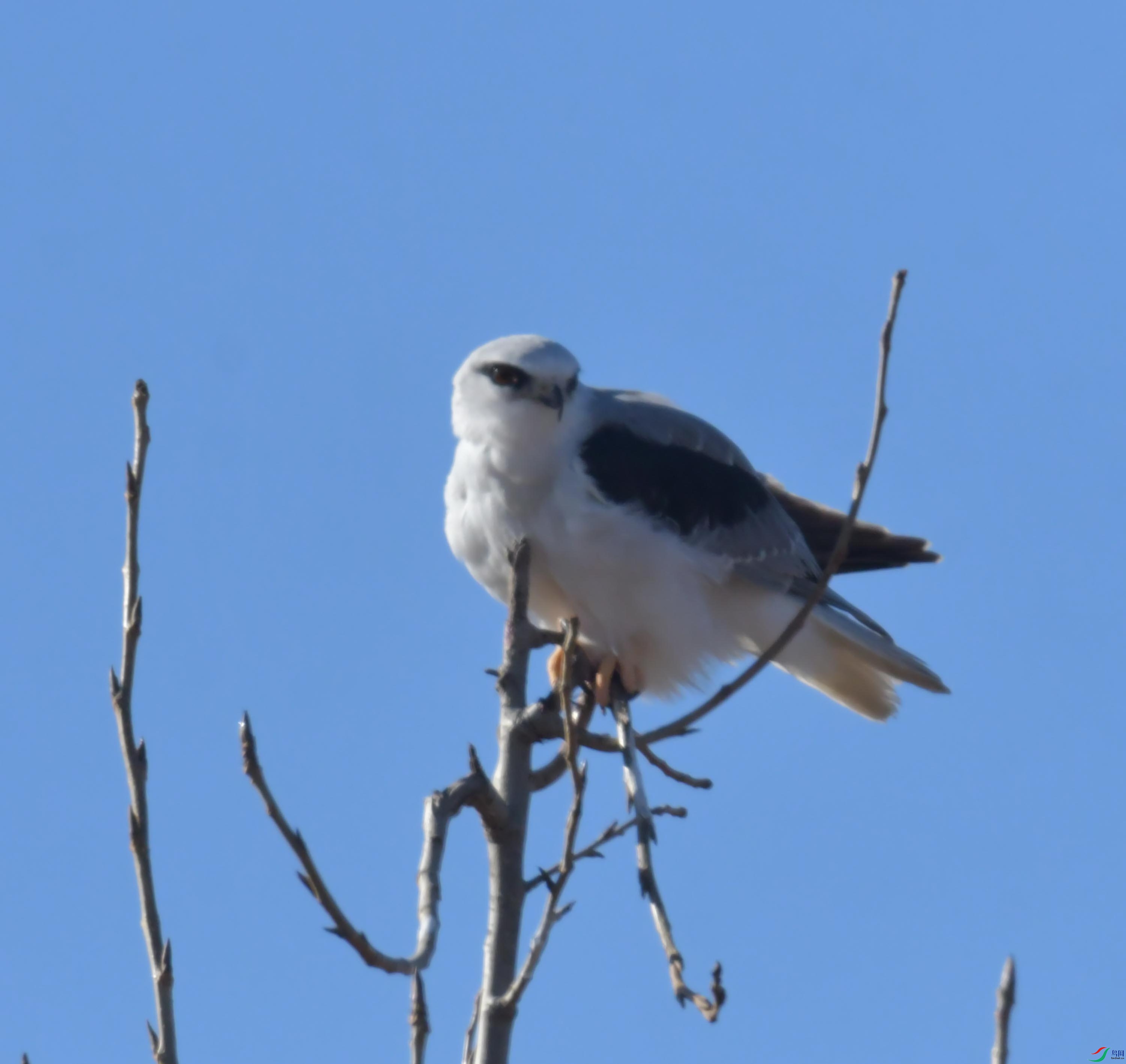 DSC_4428.JPG