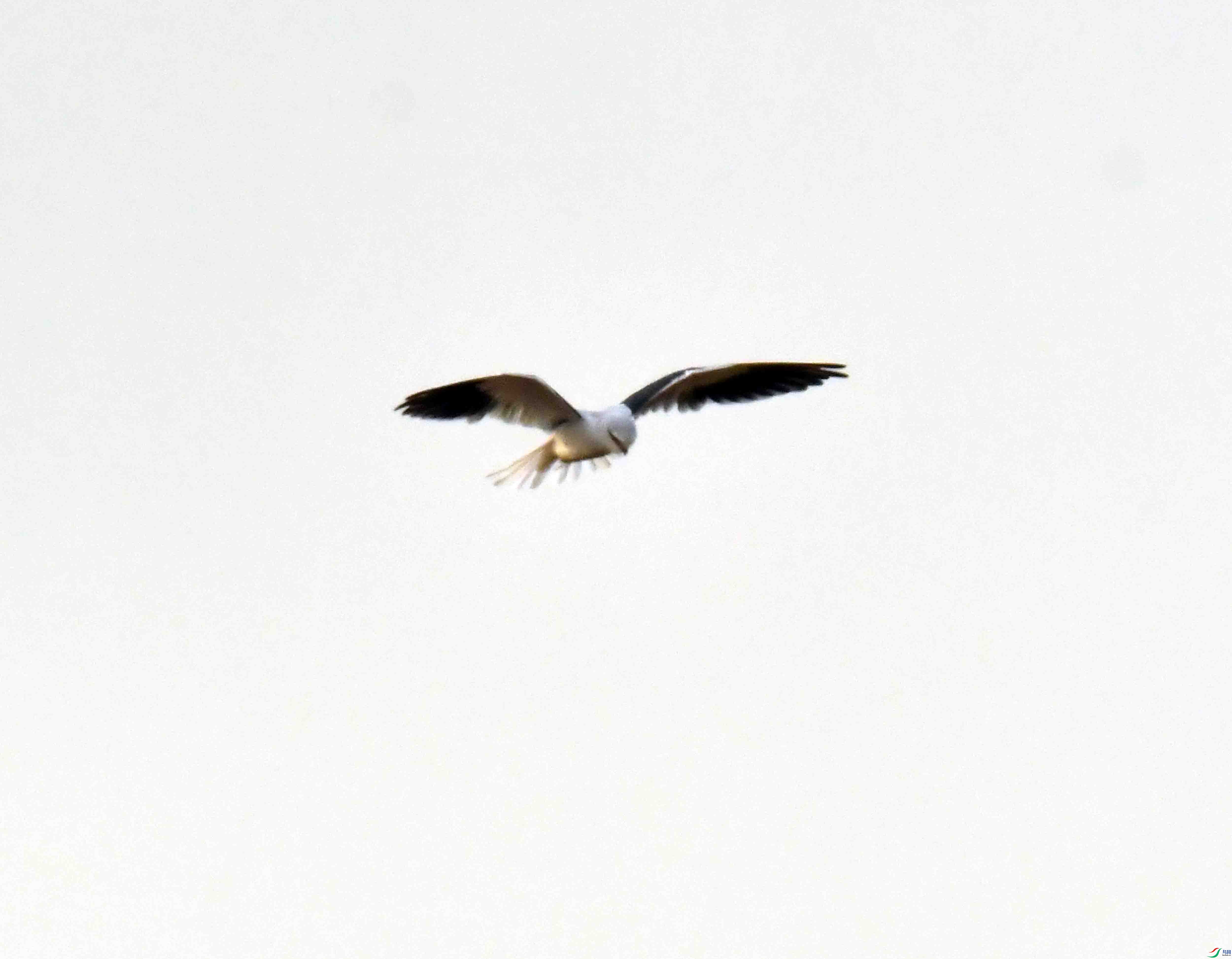 DSC_4506.JPG