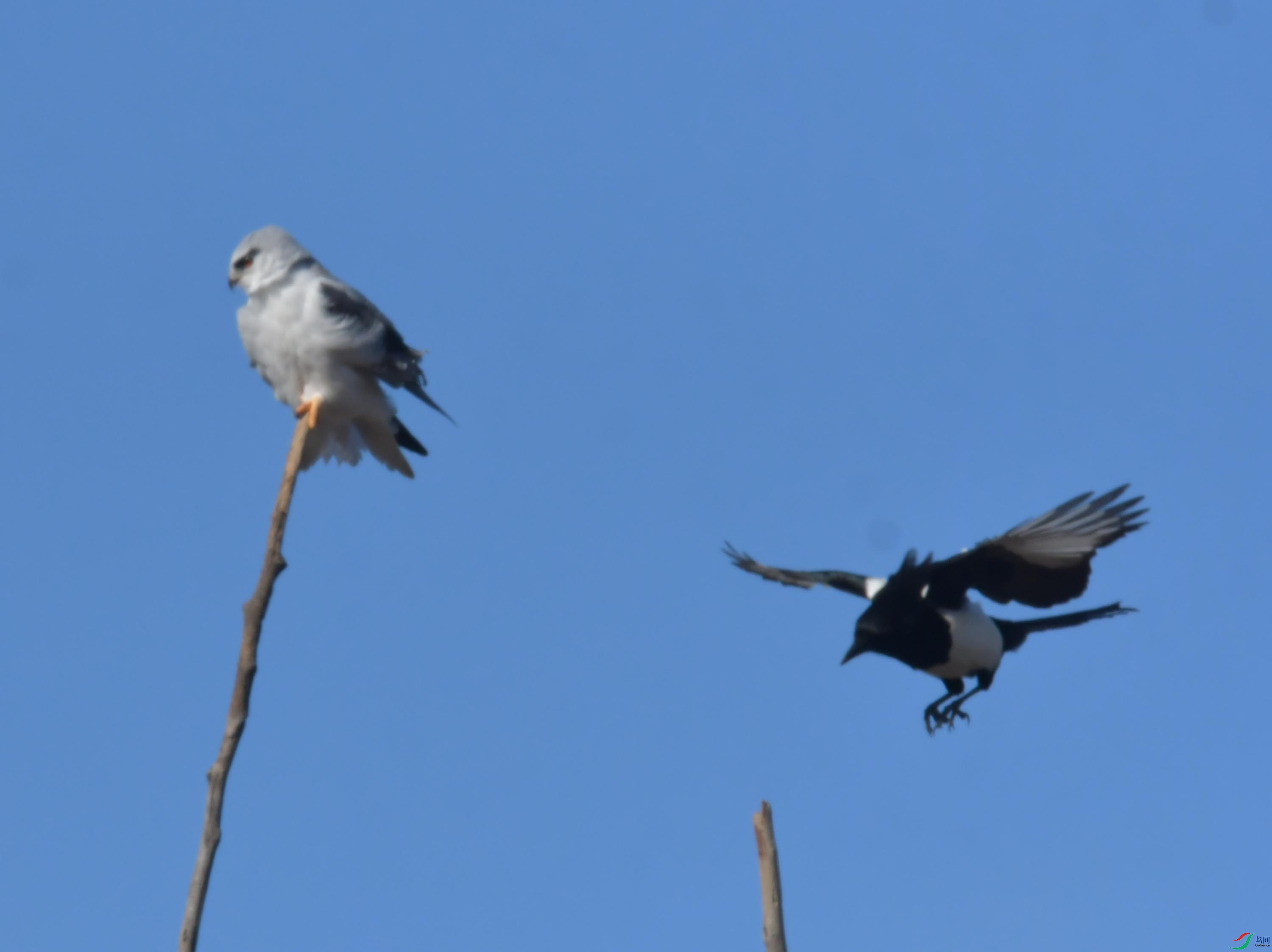 DSC_4412.JPG