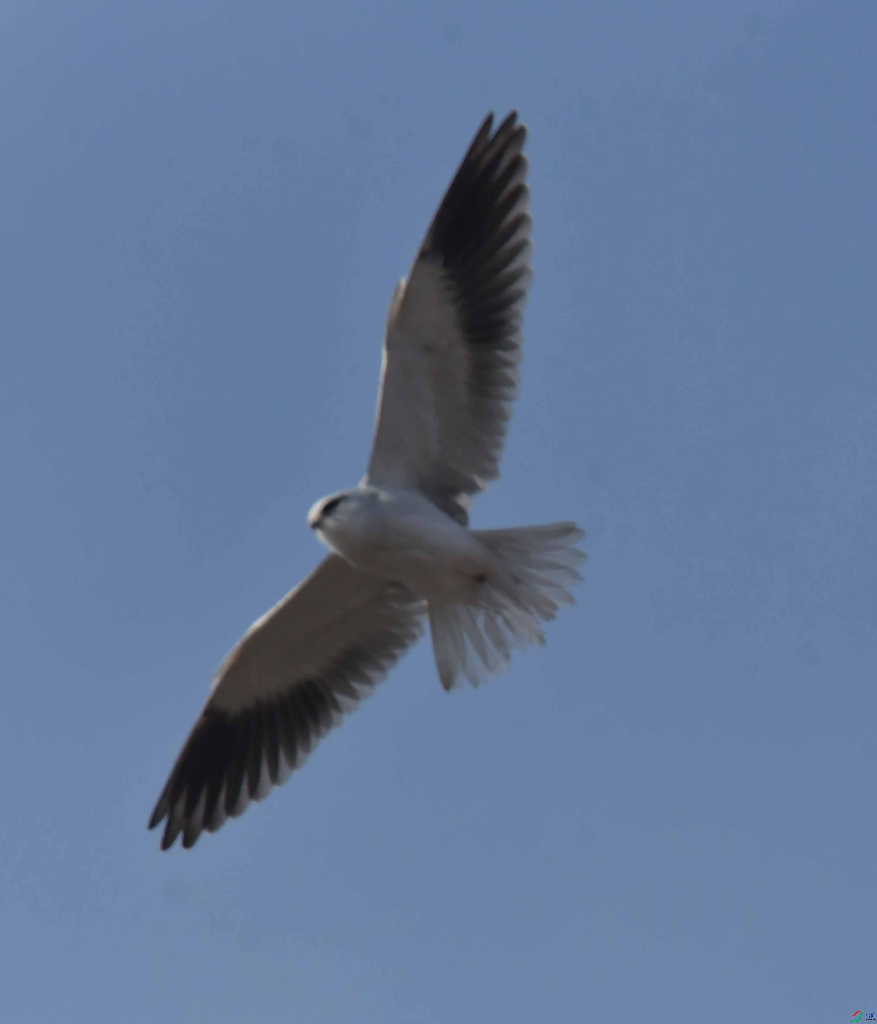 DSC_4583.JPG