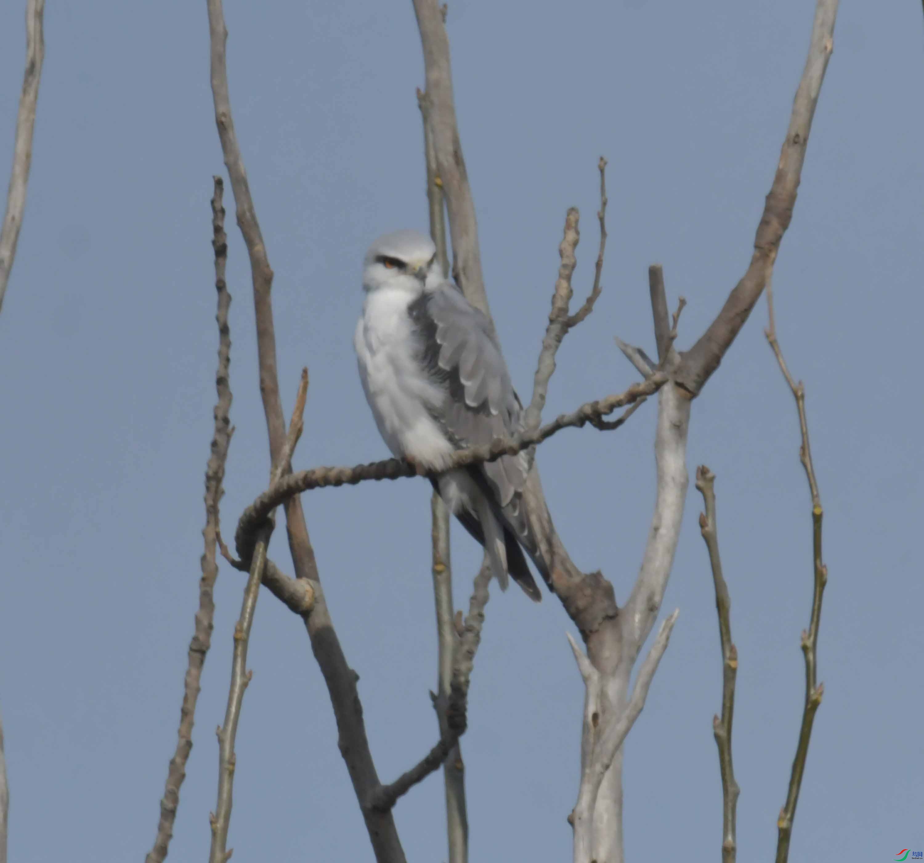 DSC_4645.JPG
