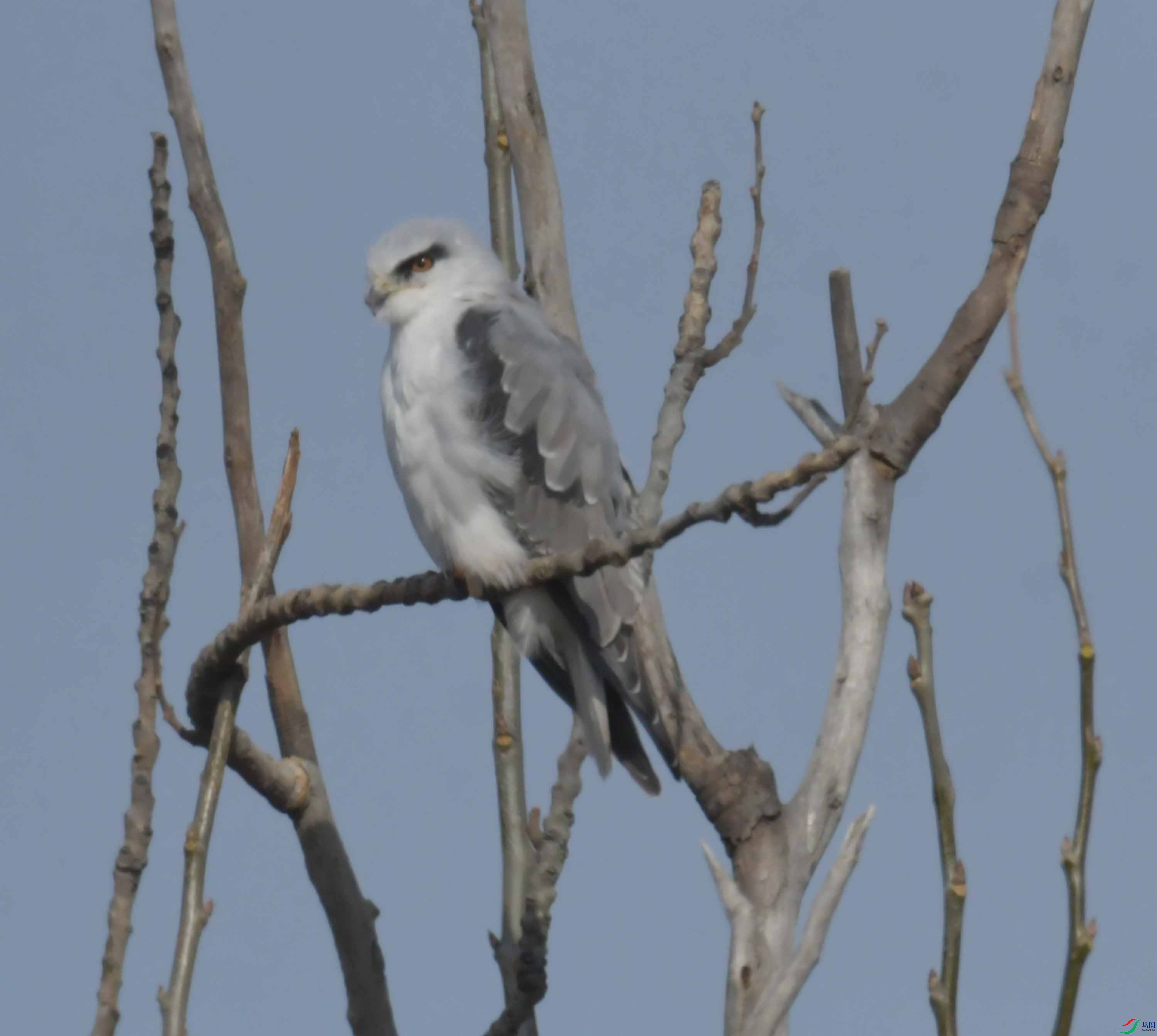 DSC_4646.JPG