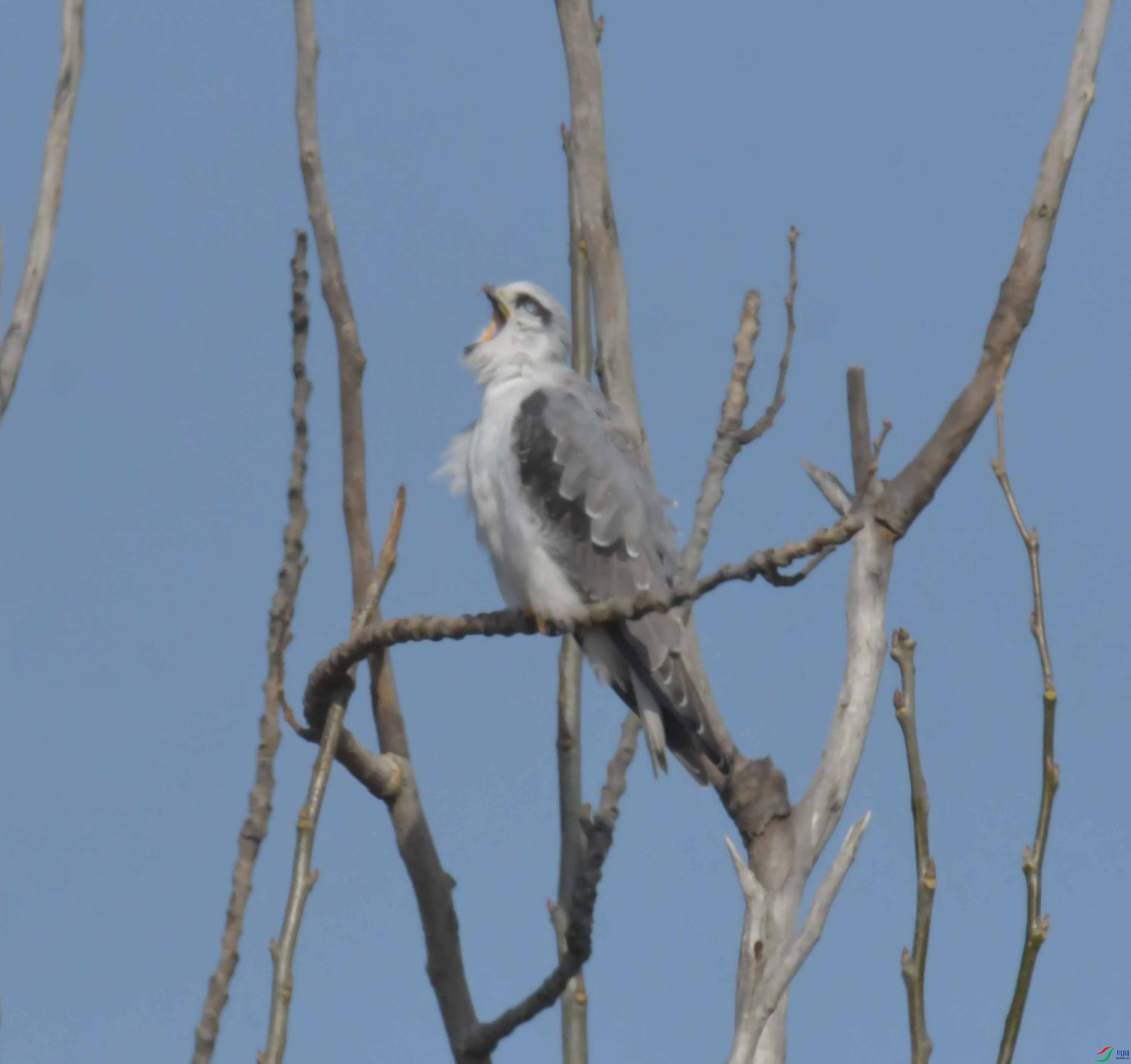 DSC_4670.JPG