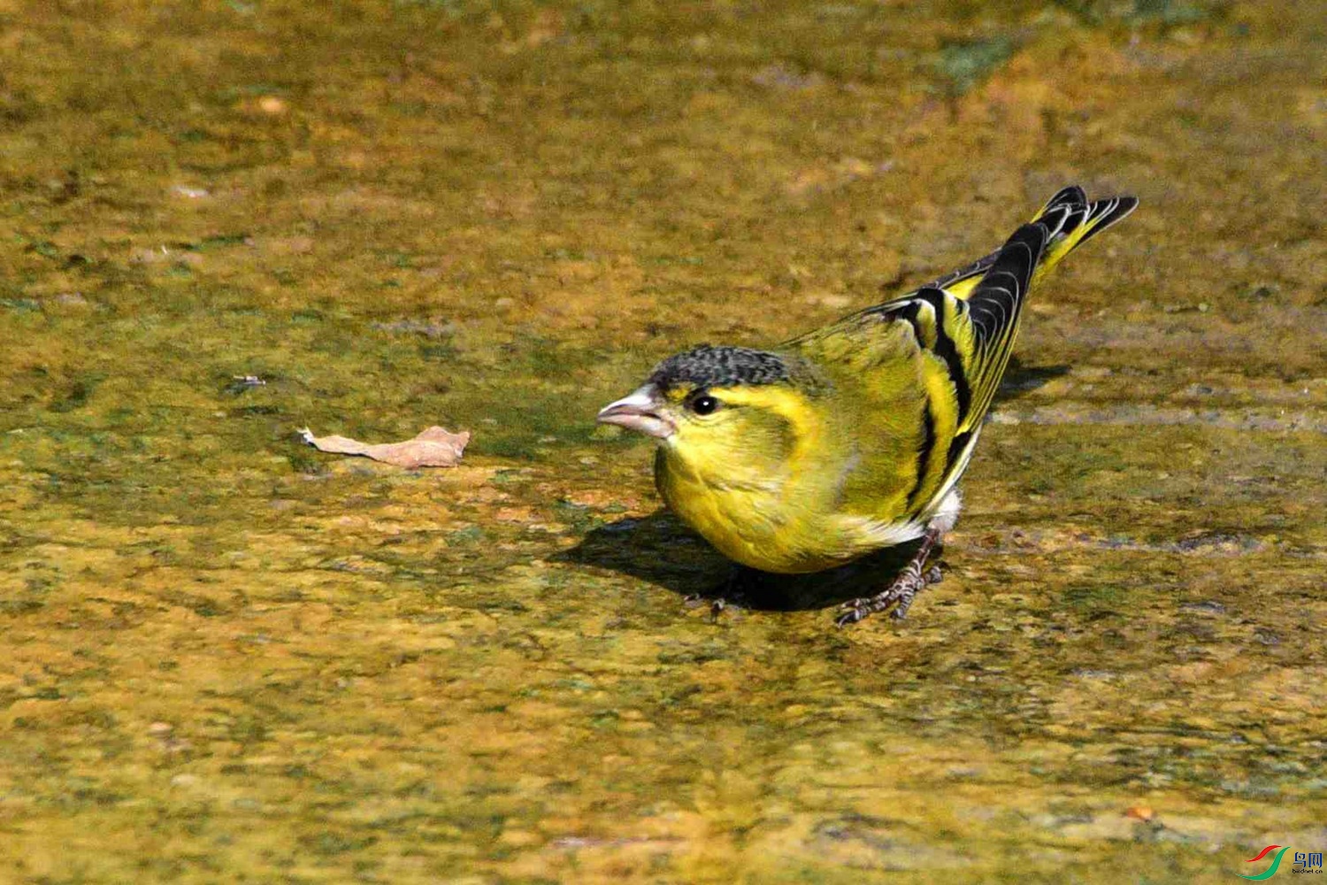 DSC_8432.JPG