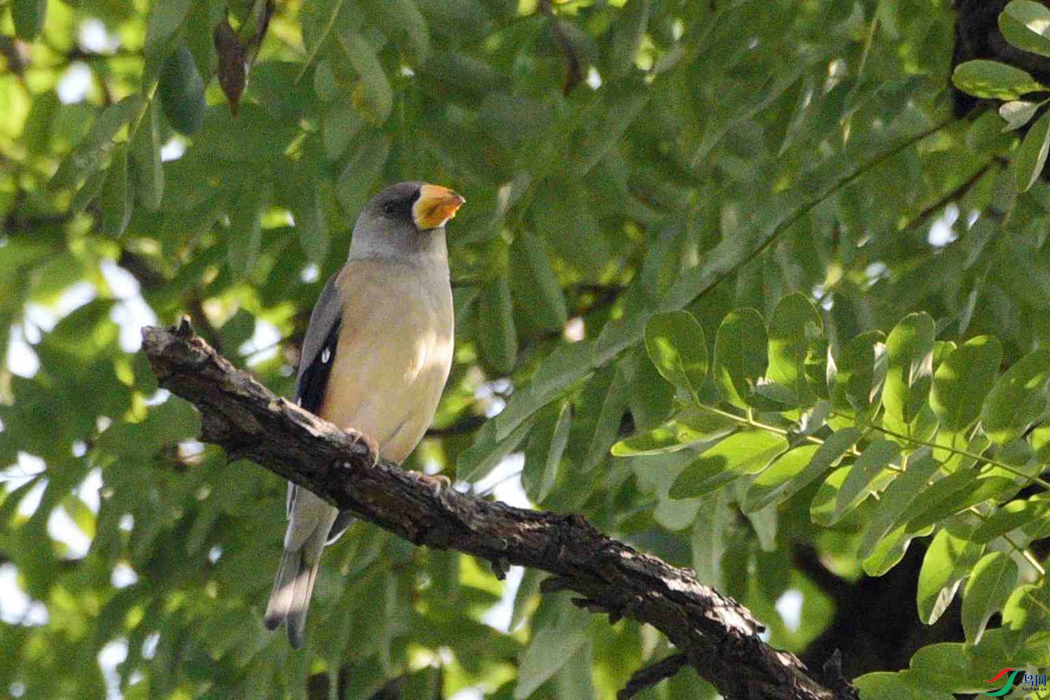 DSC_8426.JPG