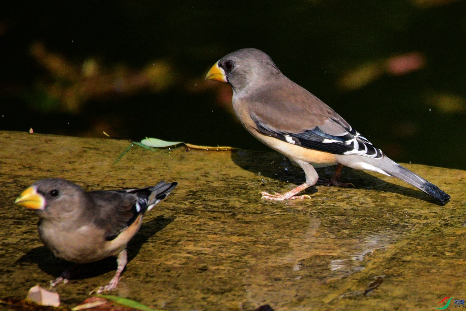 DSC_8352.JPG