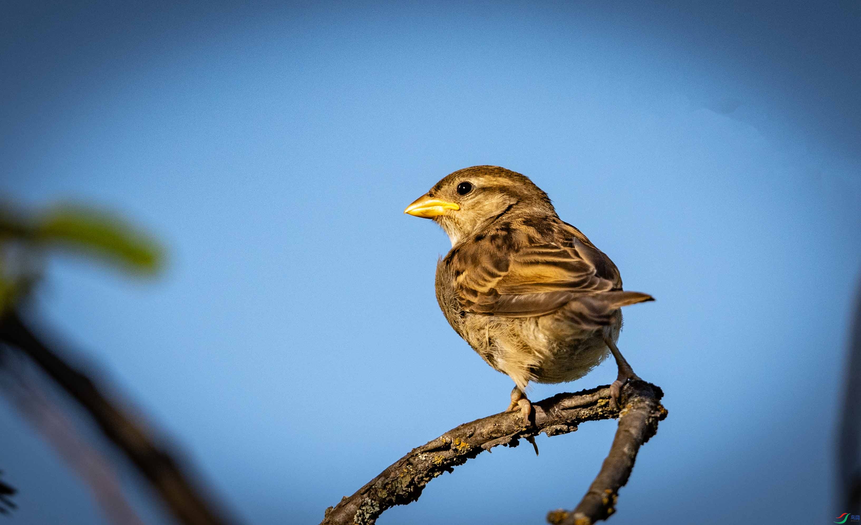 DSC_7763 ����.2jpg.jpg