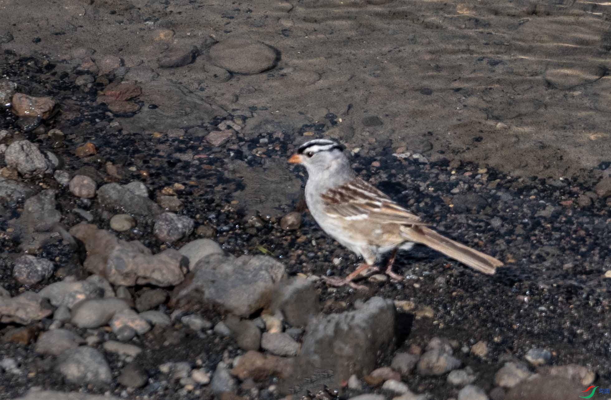 DSC_8373 ��2��.jpg