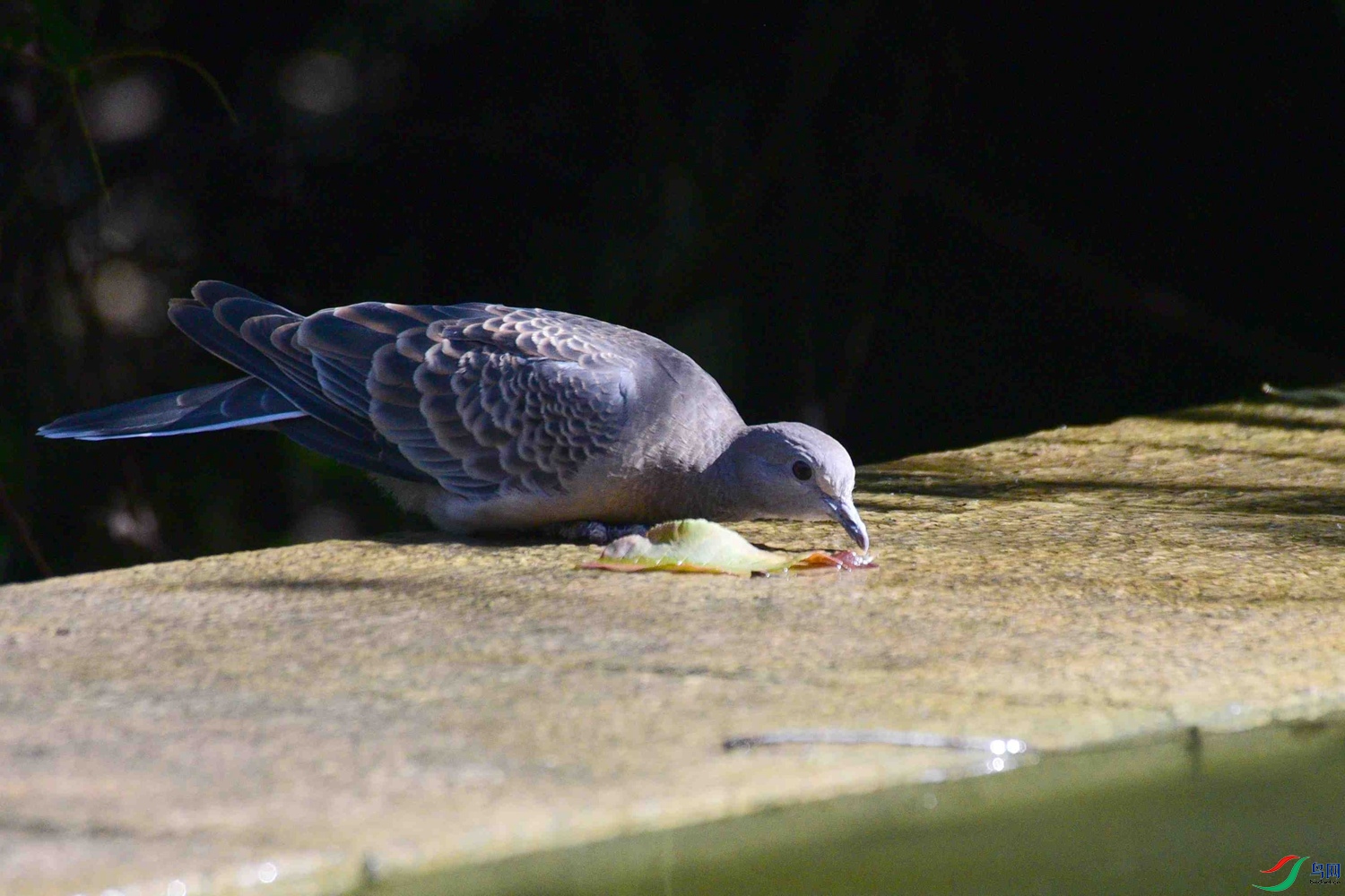DSC_8862.JPG