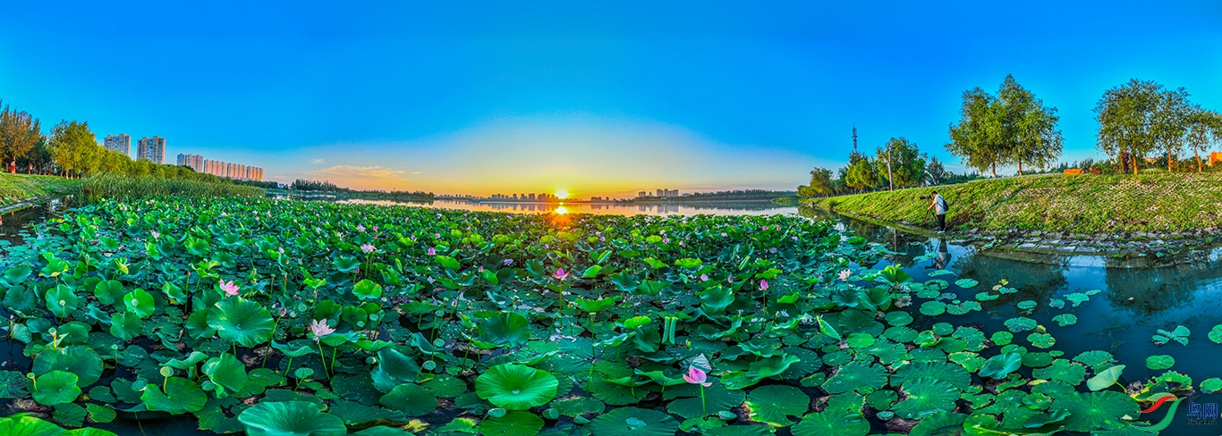 dji_fly_20240807_044632_666_1723063270527_pano ����1.jpg