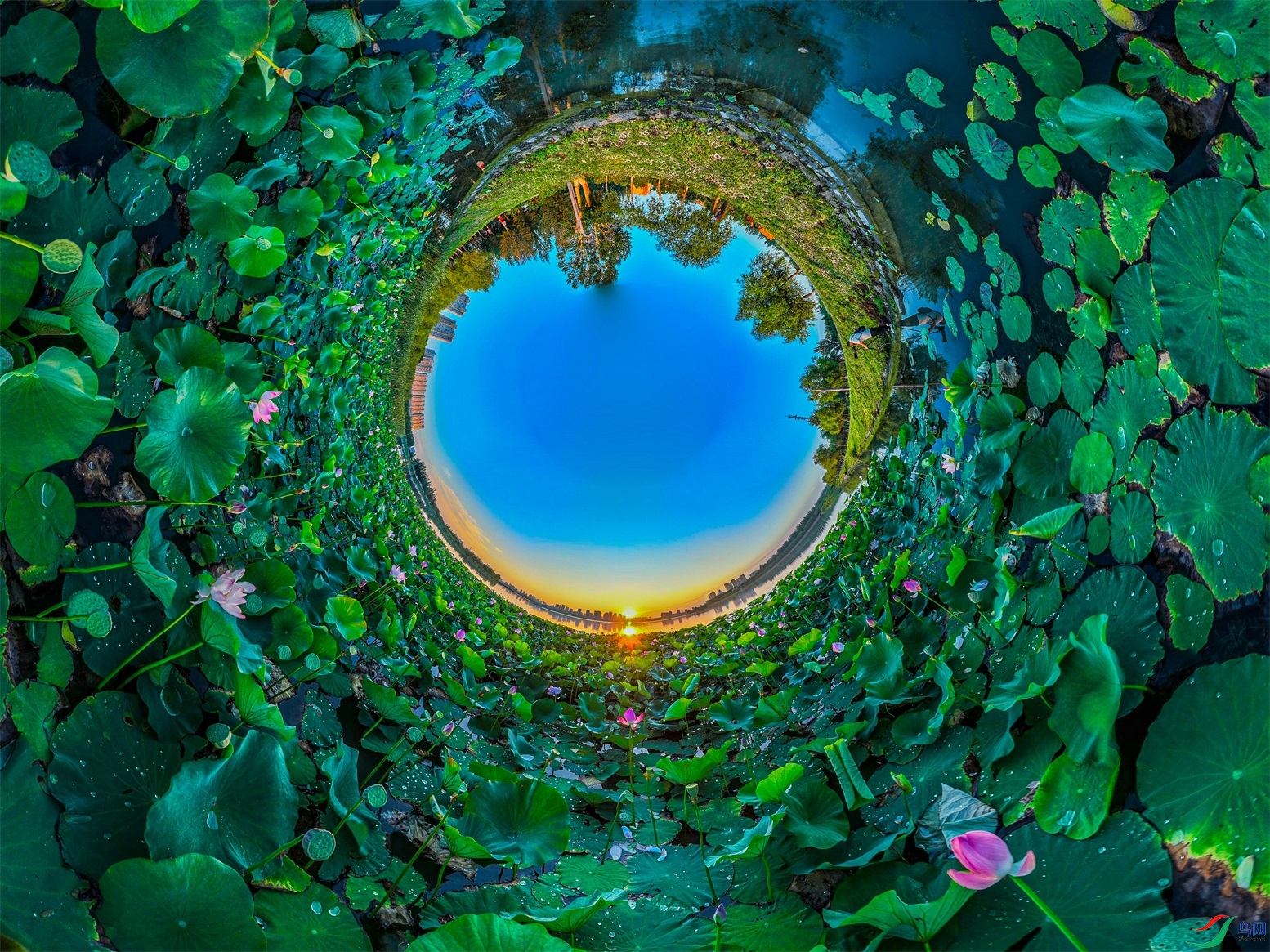 dji_export_20240808_044105_1723063265926_sphere_screenshot ����1.jpg