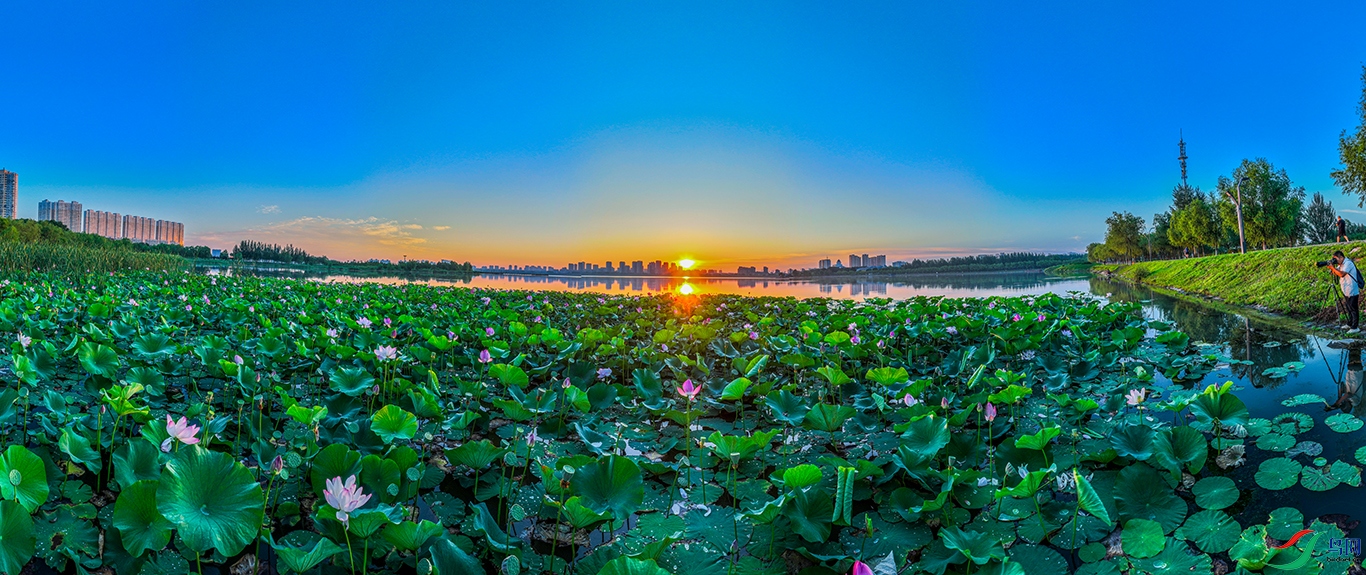 dji_fly_20240807_044502_665_1723063213150_pano ����1.jpg