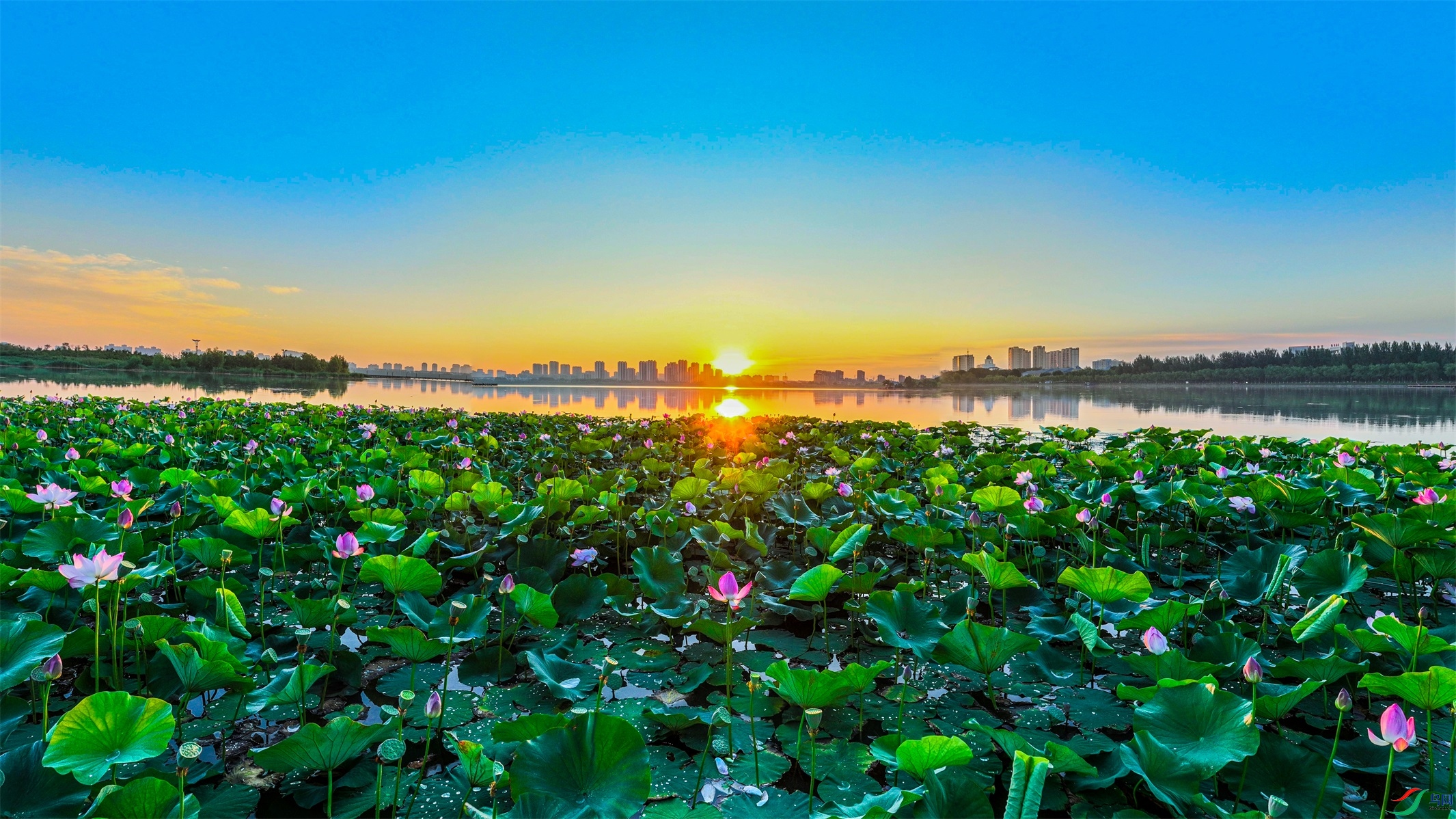 dji_export_20240808_044043_1723063243336_sphere_screenshot ����1.jpg