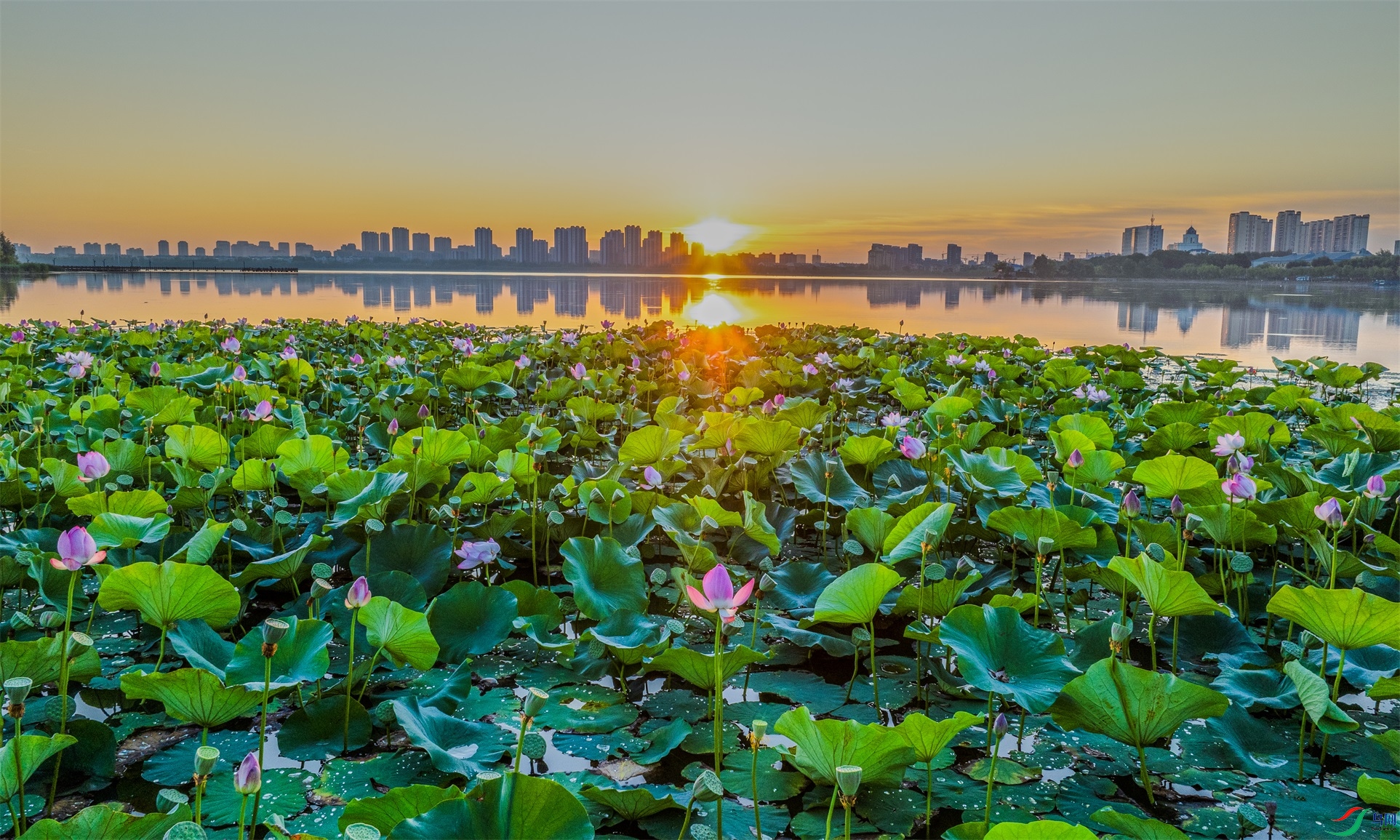 dji_fly_20240807_044332_664_1723063198755_photo ����1.jpg