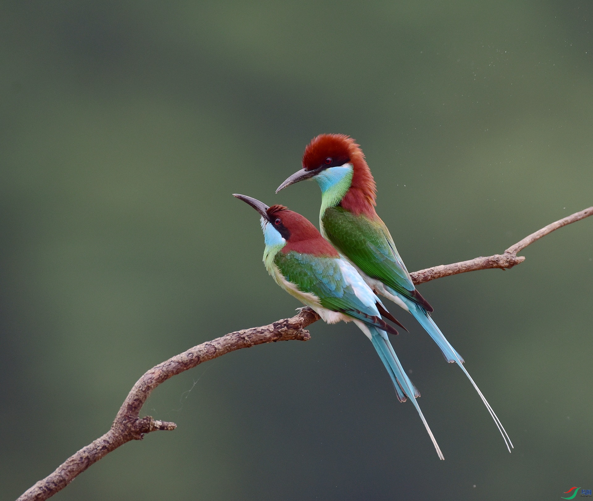 D8I_3690.jpg