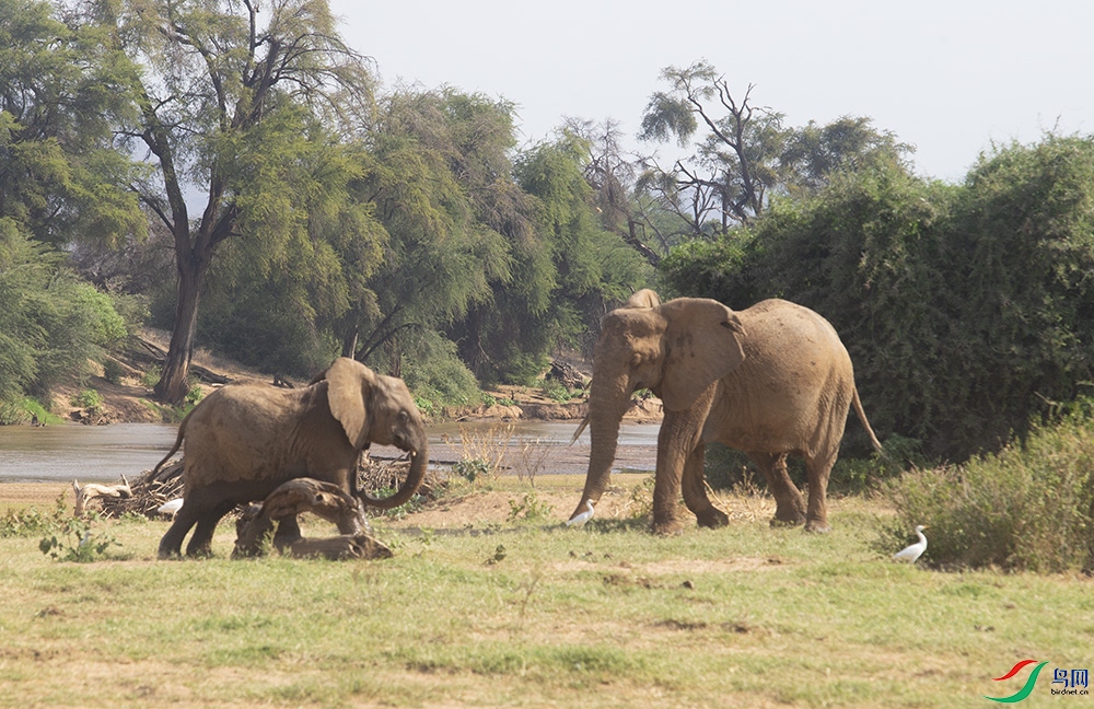 ���޴��� (4).jpg