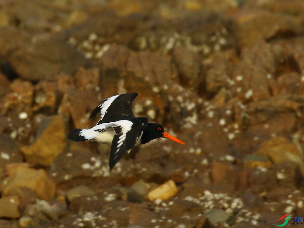 DSC20231227009.jpg