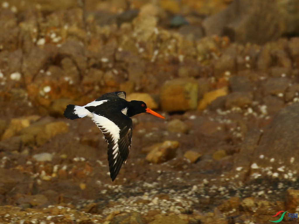 DSC20231227010.jpg