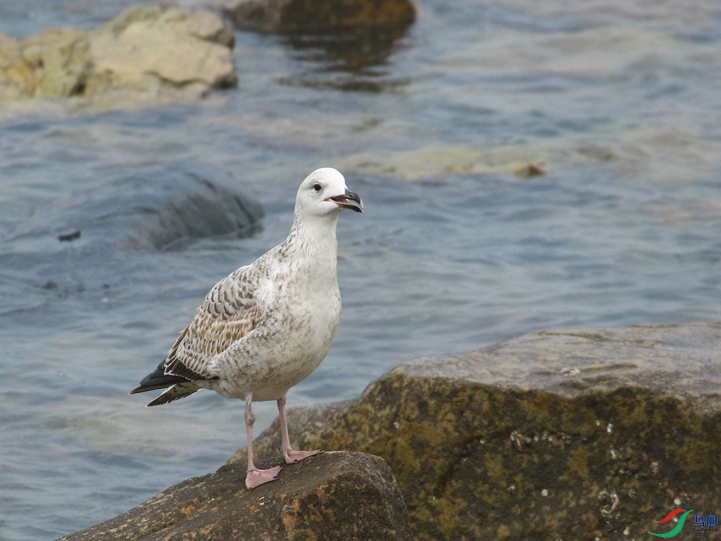 DSC20231231066.jpg