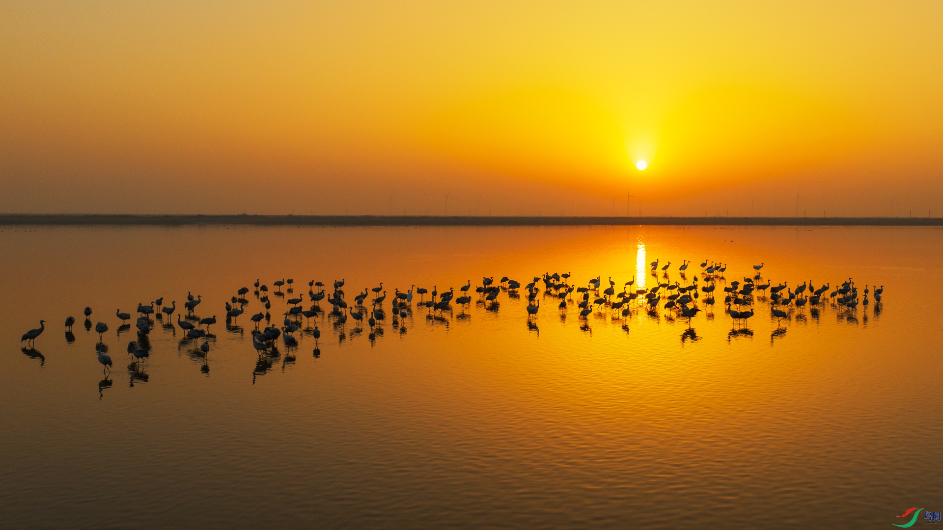 DJI_0347.jpg